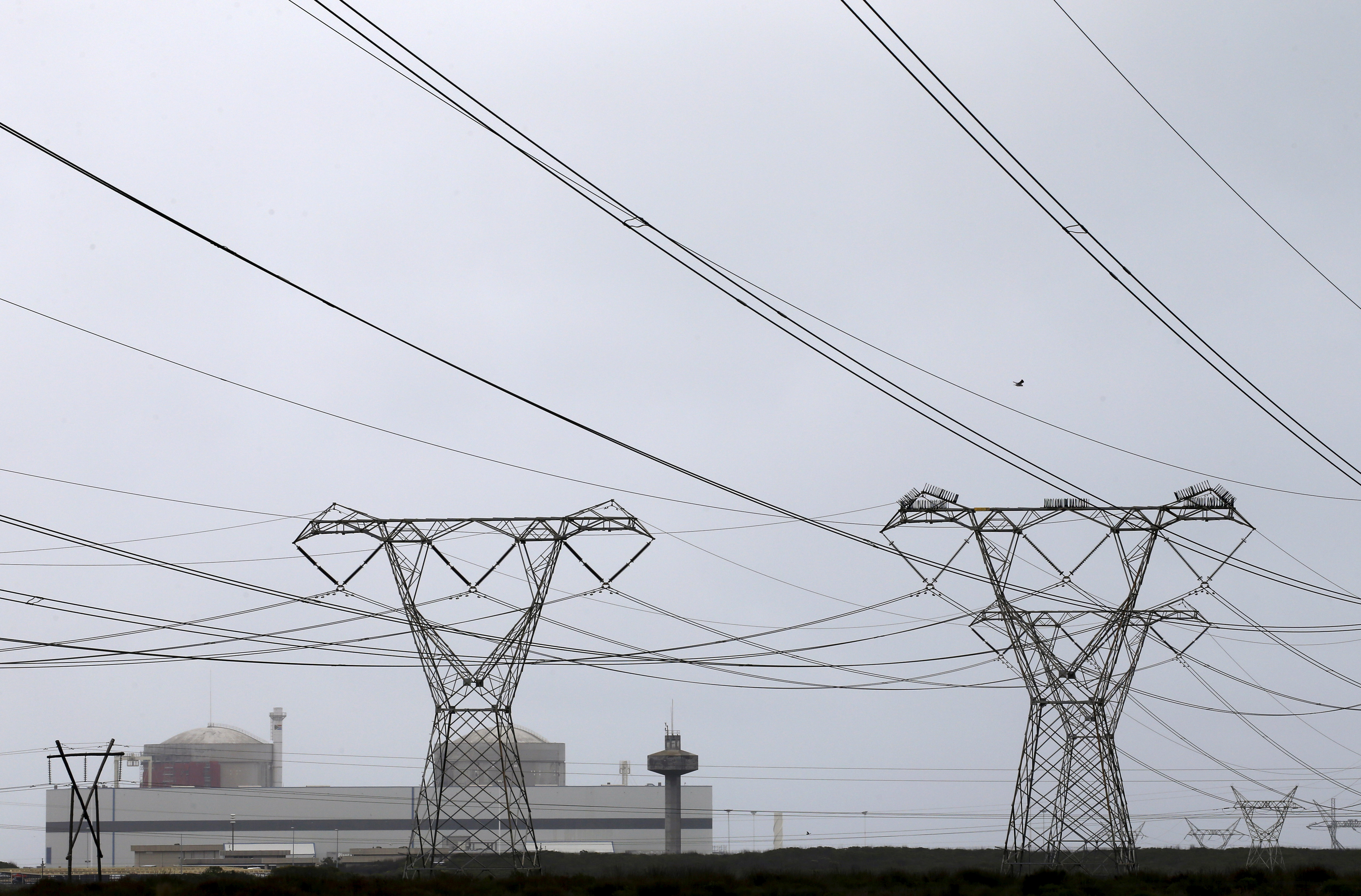 Electricity pylons carry power from Cape Town's Koeberg nuclear power plant on August 13, 2015 [File: Reuters/Mike Hutchings]