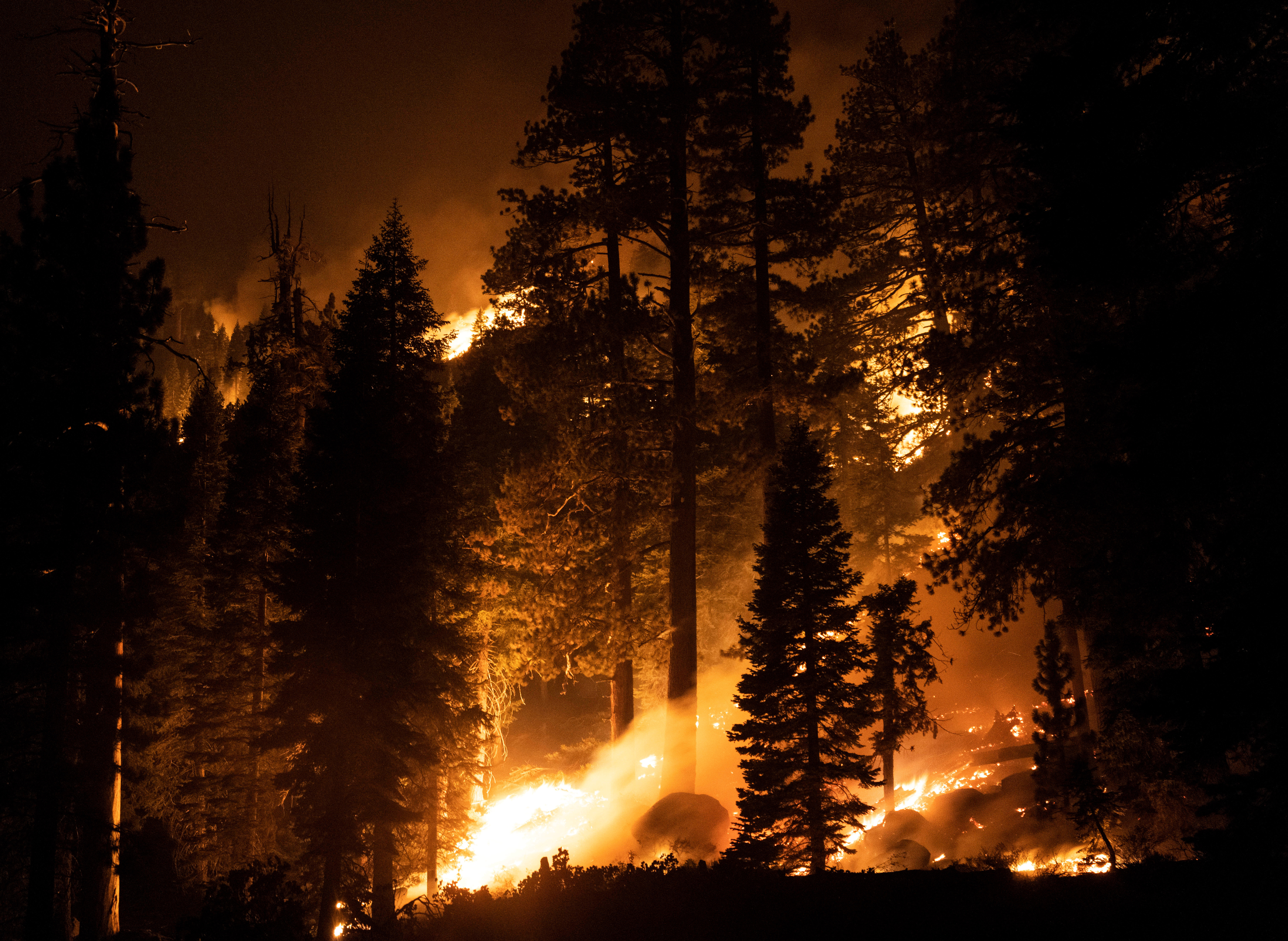 Flames from the Caldor Fire burn through trees on highway 98, in Kirkwood, California on August 31, 2021 [File: Reuters/Aude Guerrucci]