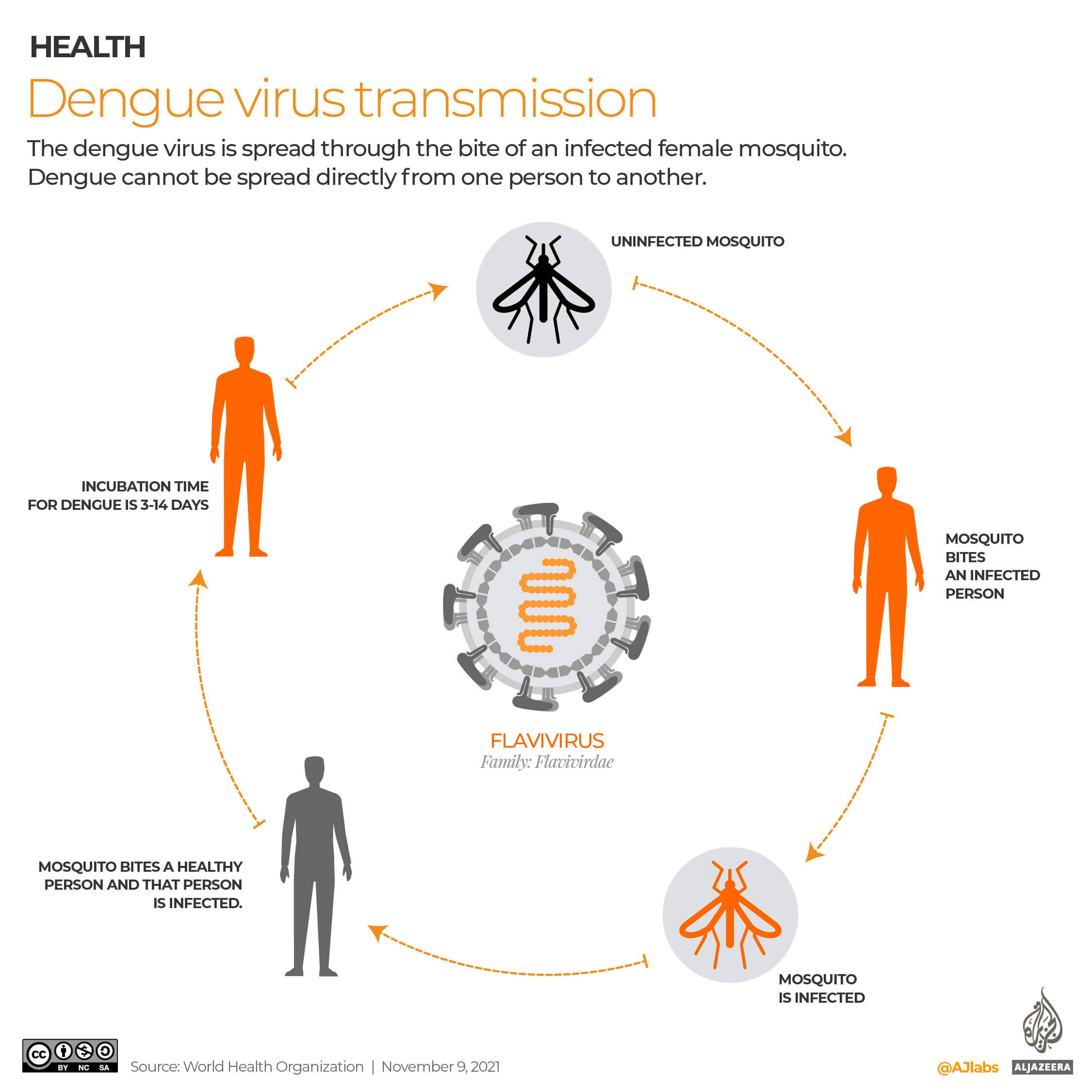 How the mosquito to human contact happens