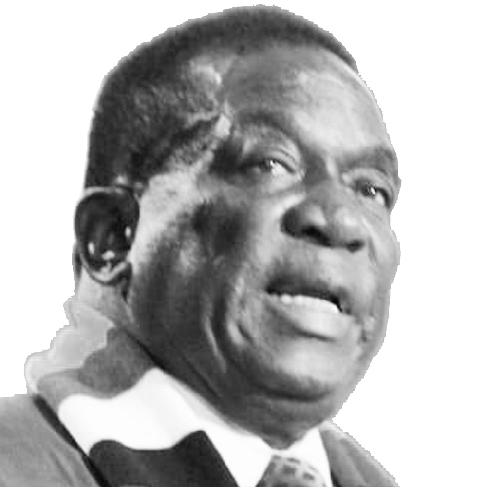 Emmerson Mnangagwa