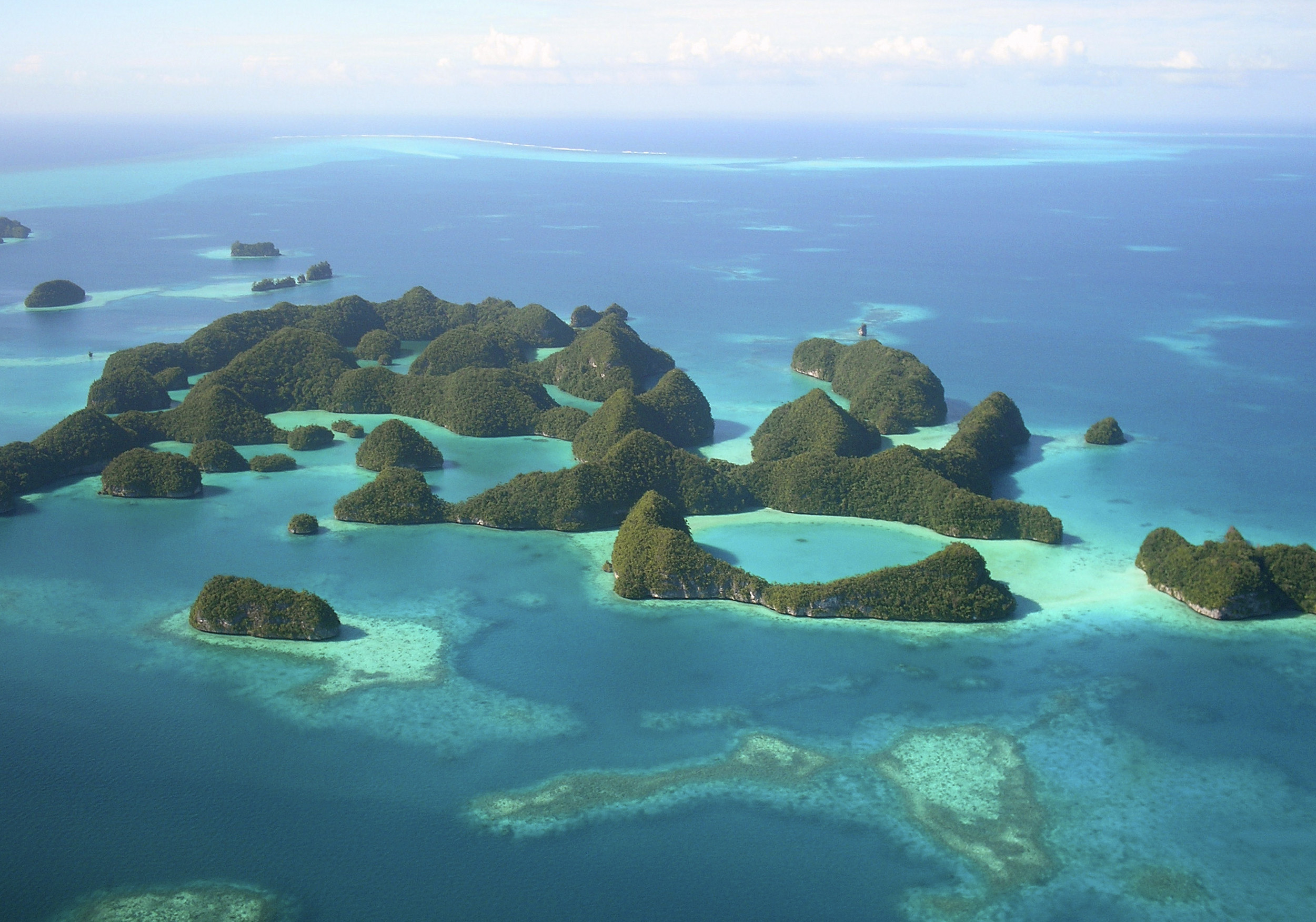 Palau is aiming to launch a government-backed digital currency [File: Jackson Henry/Reuters]