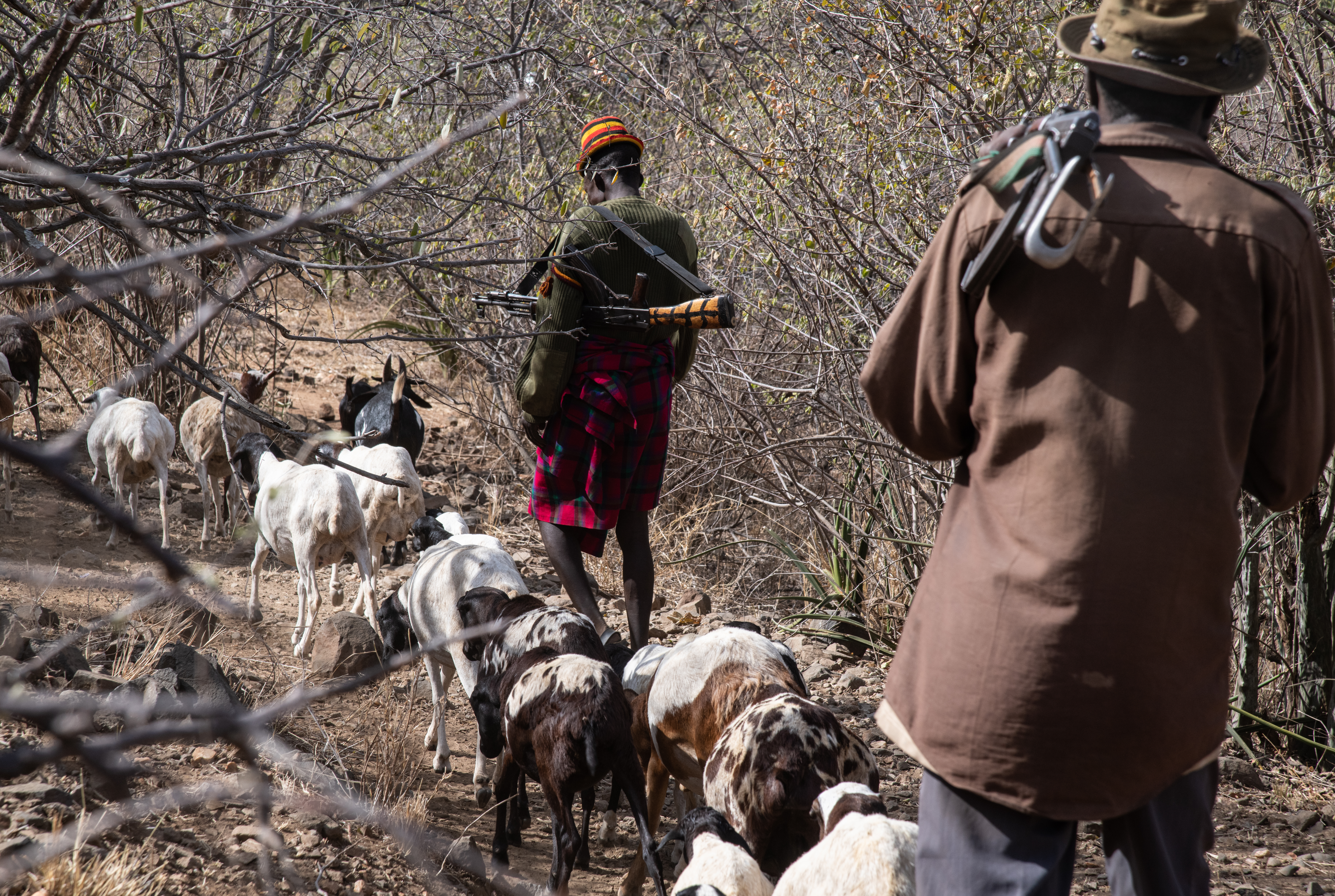 National Police Reserve member and livestock herder in Loreng near the border with Uganda.