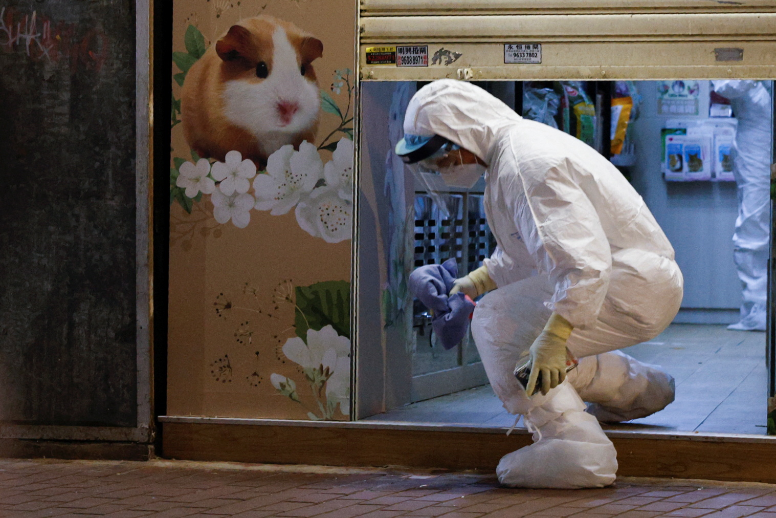 A wildlife officer with personal protective equipment leaves a temporarily closed pet shop in Hong Kong