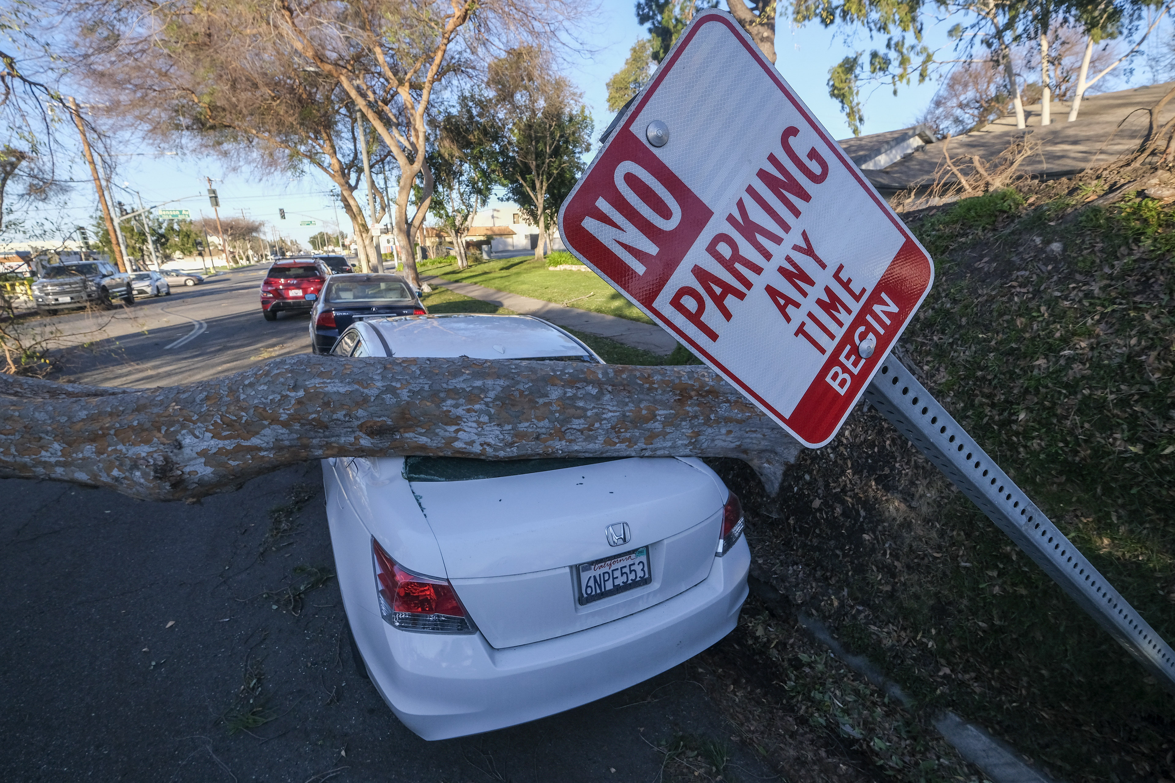 A fallen tree sits on top of a vehicle after strong winds in Upland
