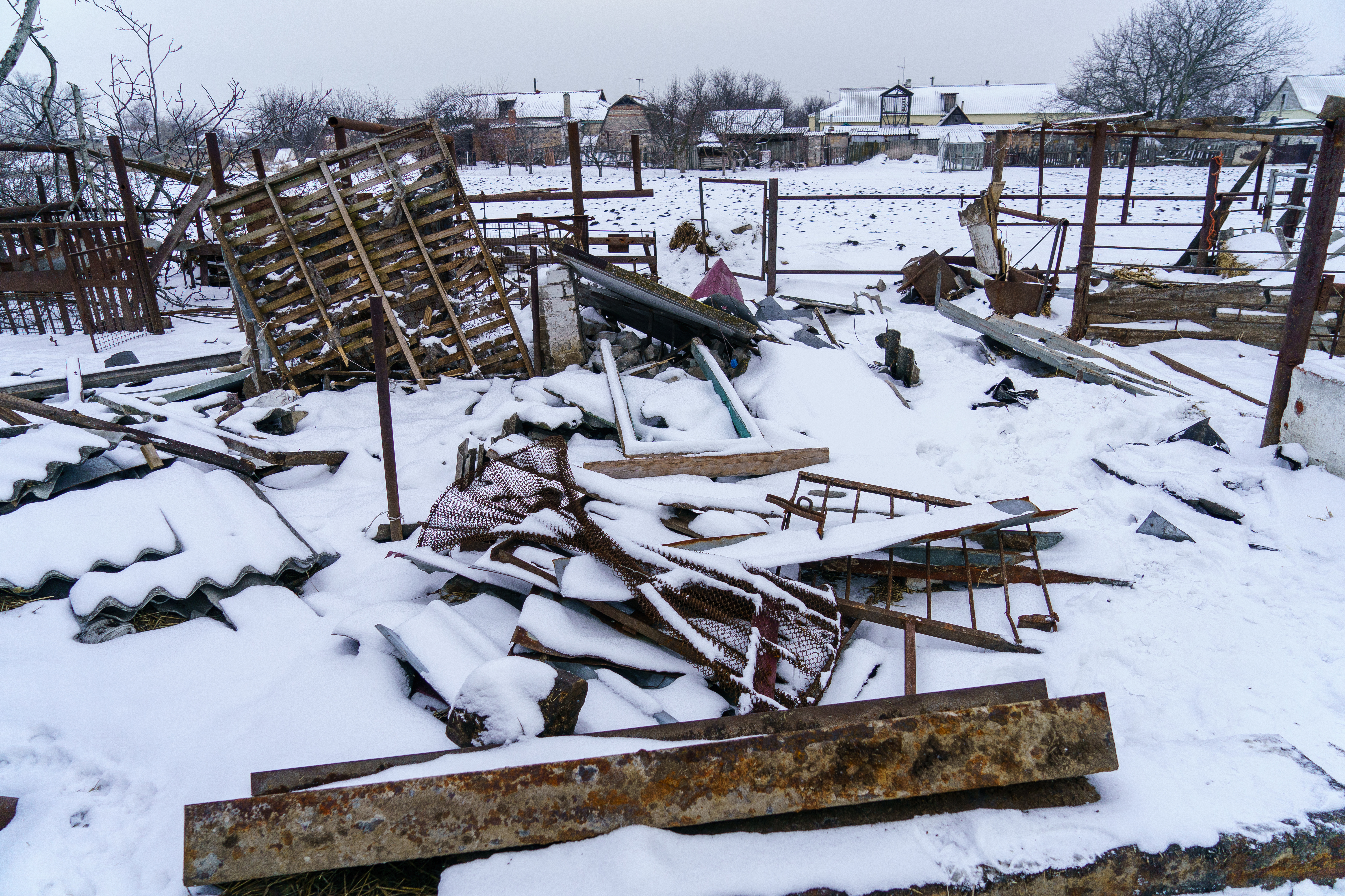 Valentina Omelnycka and Andriy Dmytryuchenko's backyard