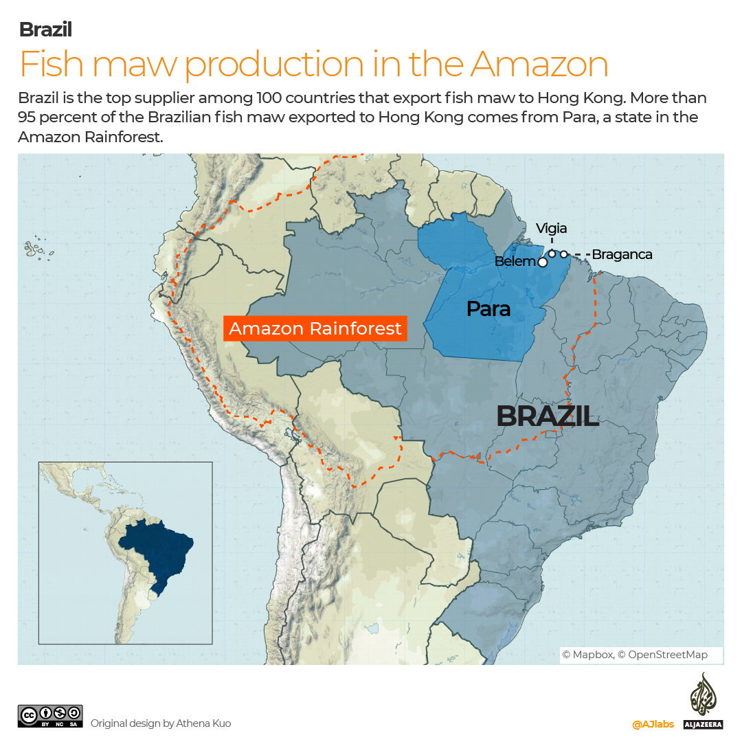 A map showing the Amazon rainforest