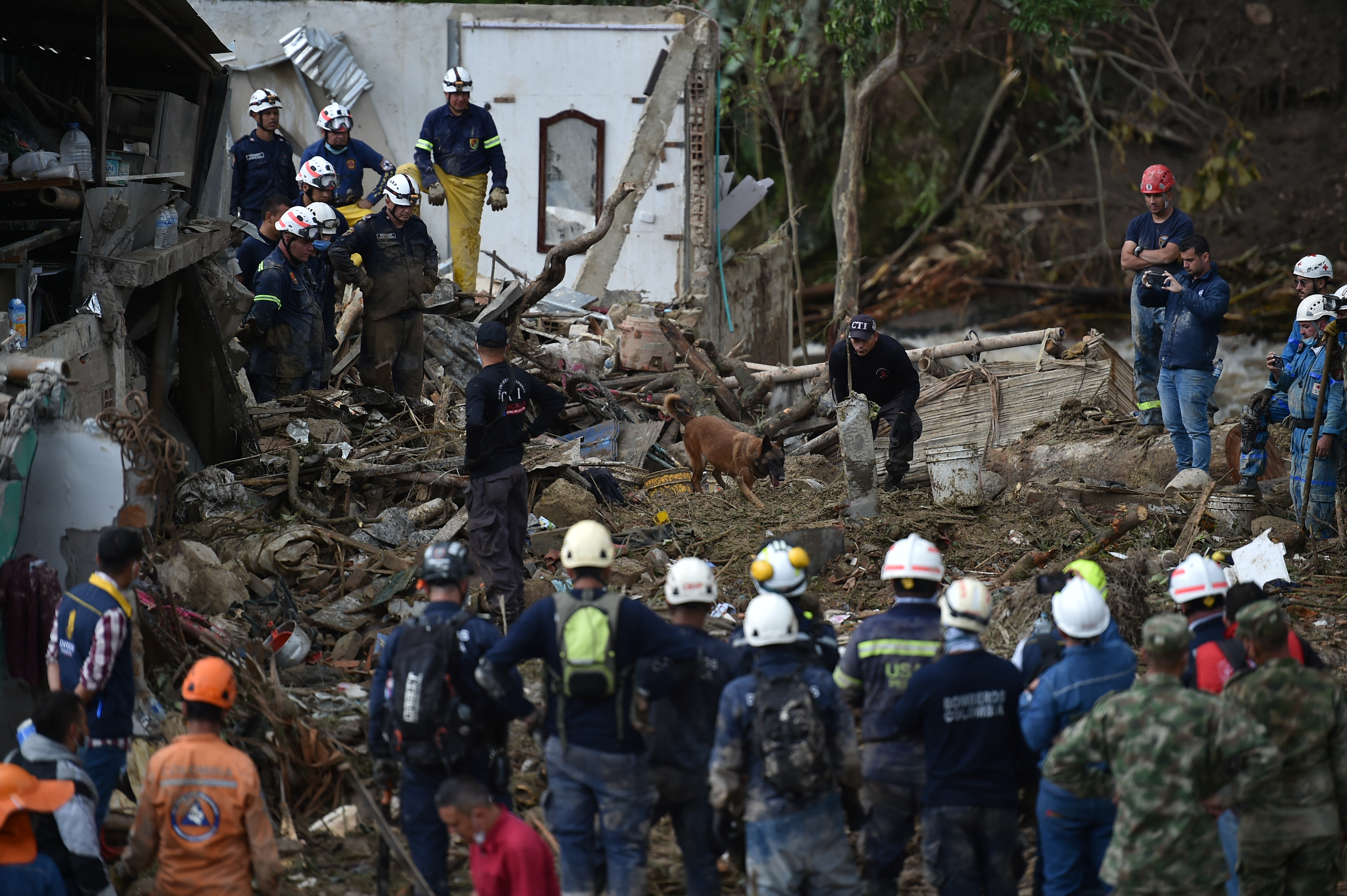 A rescue dog searches for victims