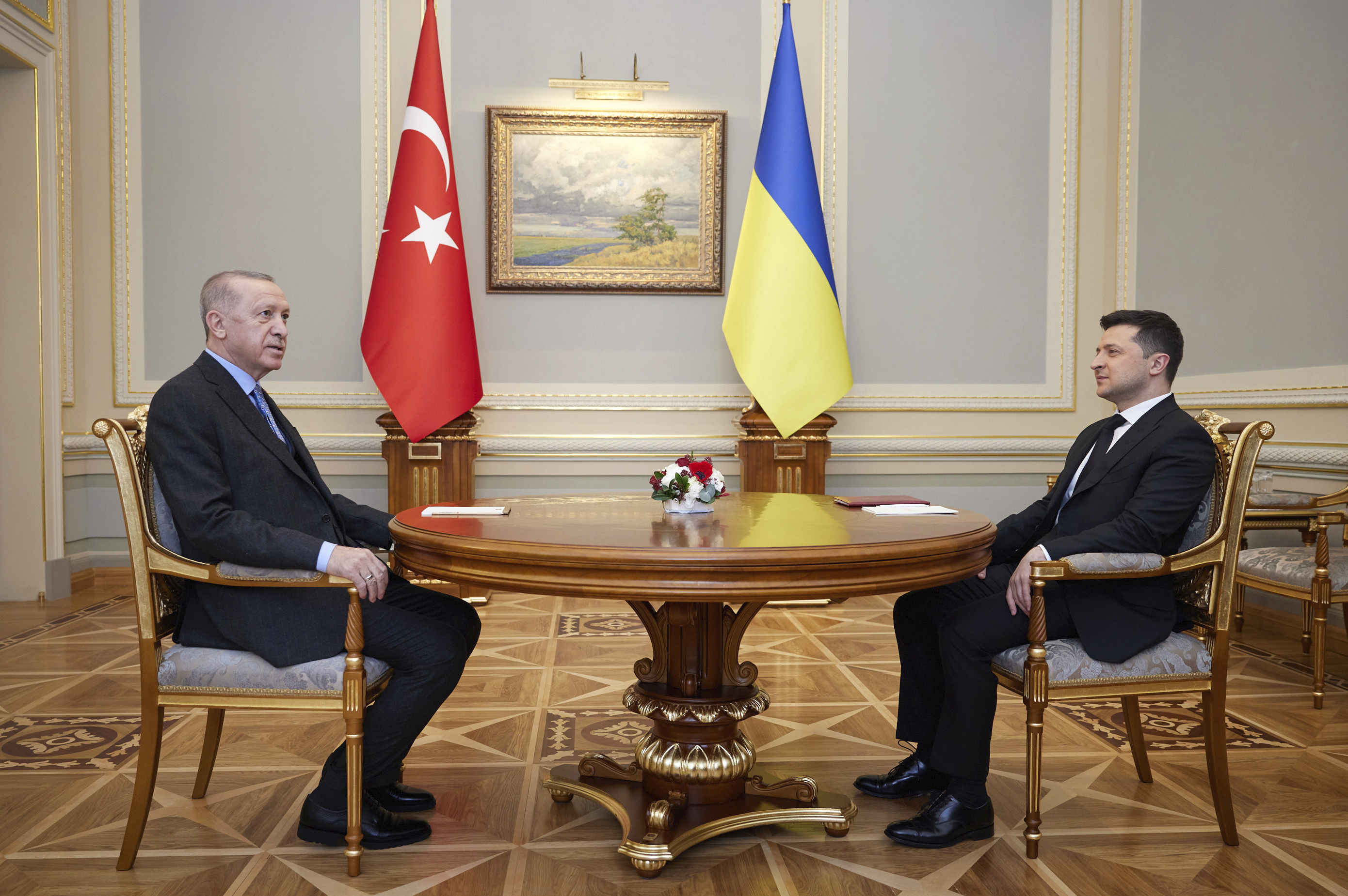 Ukrainian President Volodymyr Zelenskyy is seen talking with his Turkish counterpart Recep Tayyip Erdogan in Kyiv