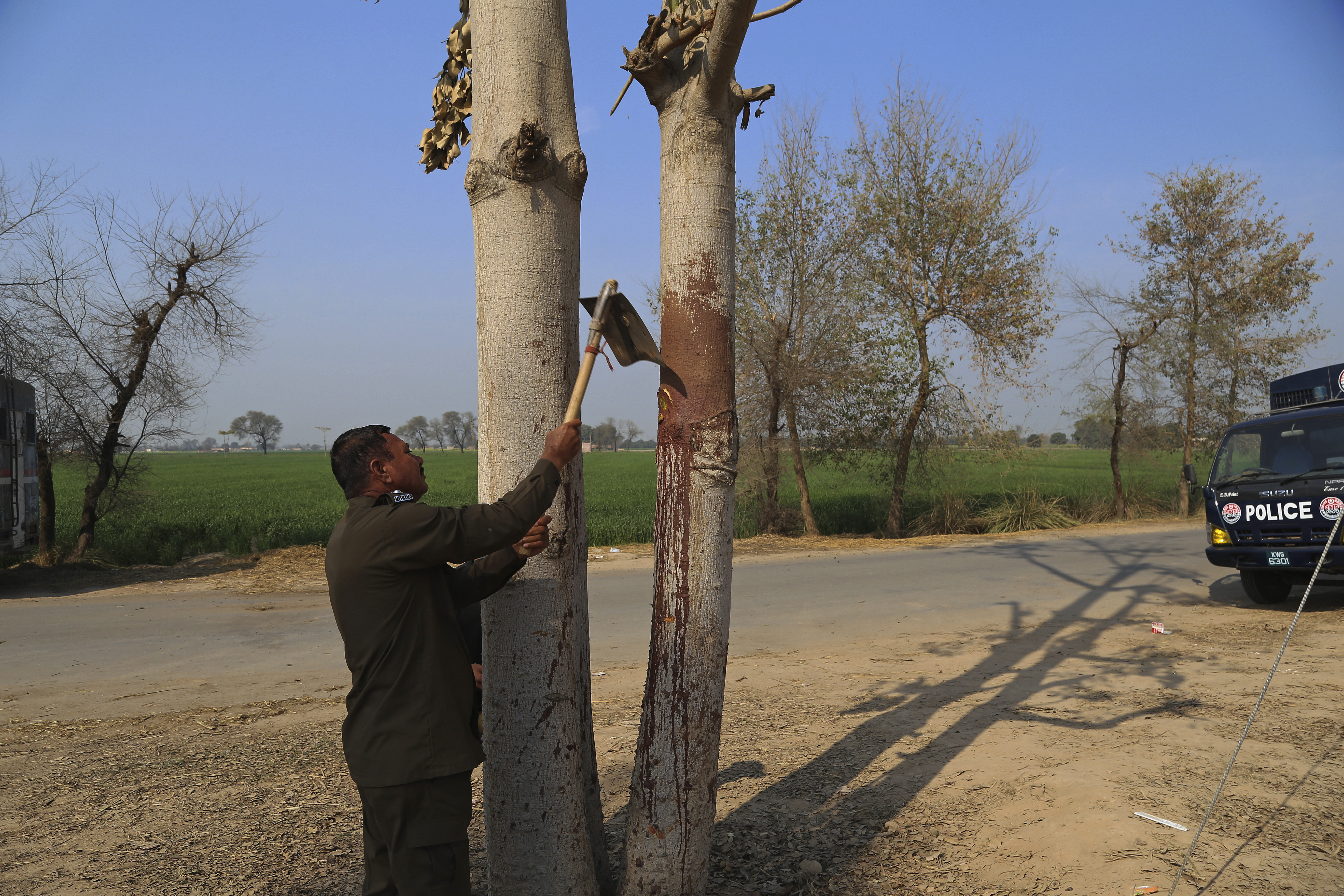A police officer takes a sample from a blood-stained tree
