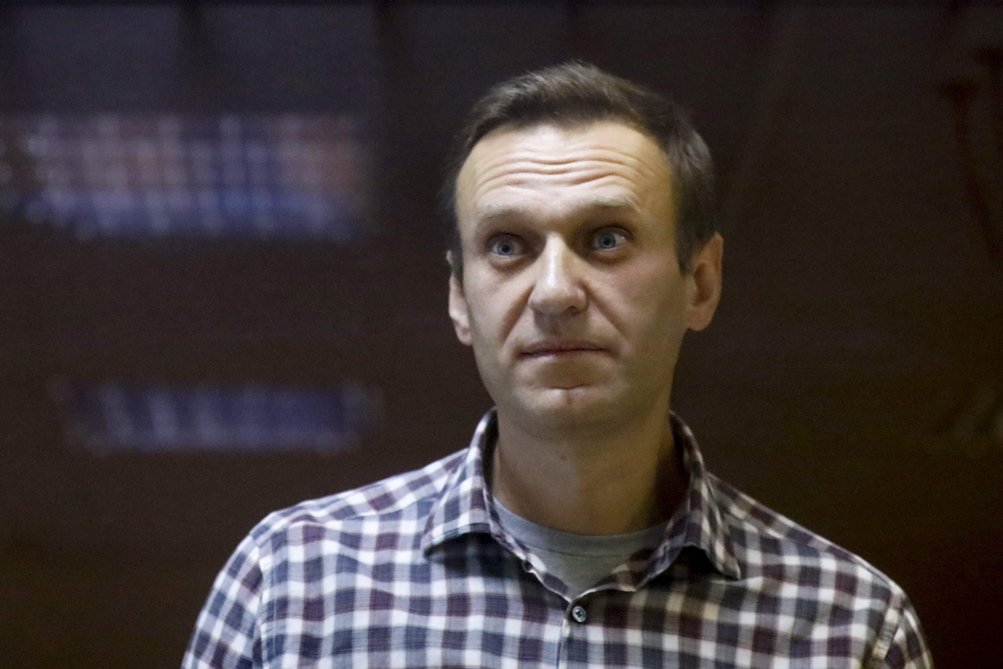 Russian opposition leader Alexei Navalny stands in a cage in the Babuskinsky District Court in Moscow, Russia