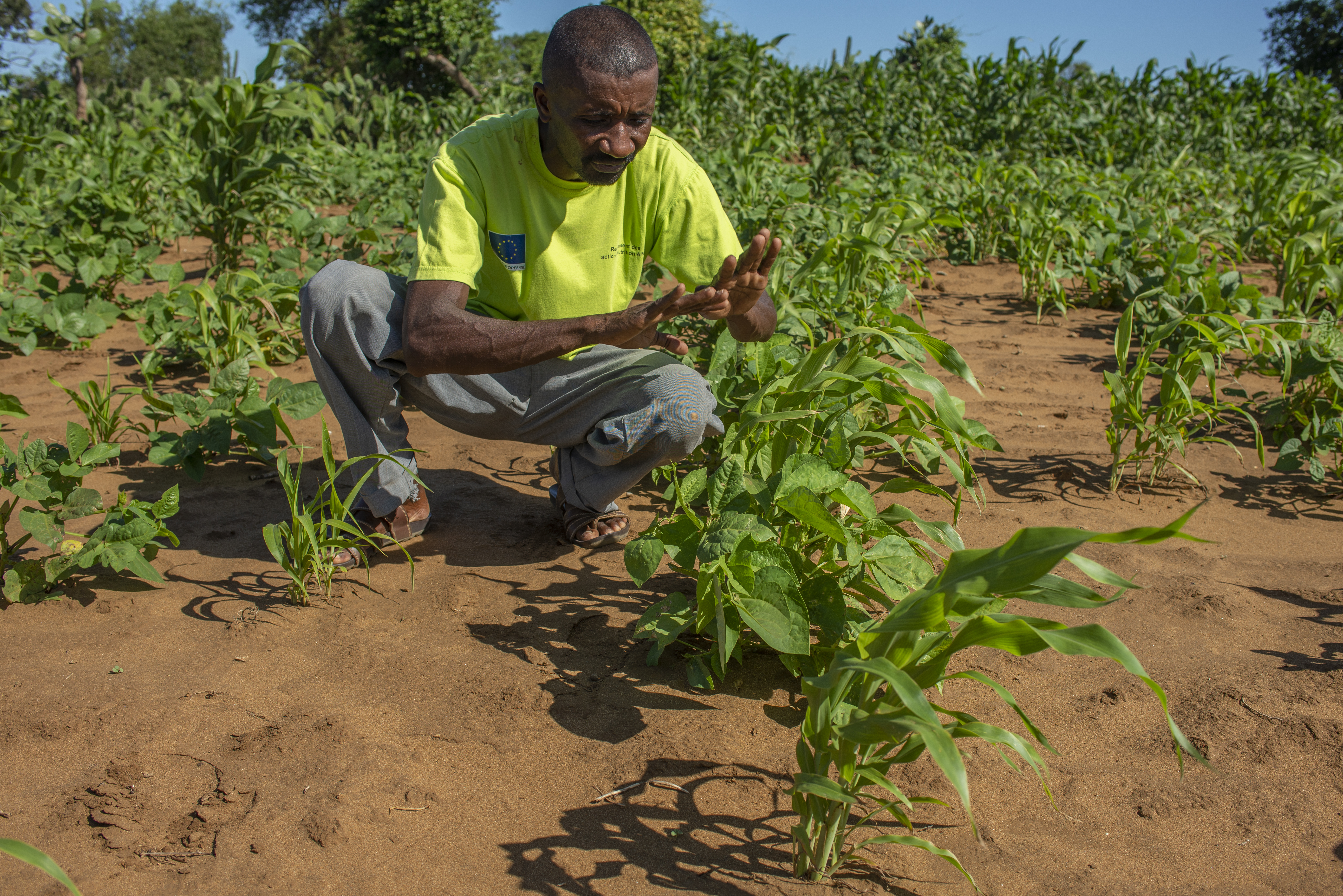 Raherinidamy Dominique Firmando displays techniques he shares with farmers as part of a training programme to make crops more resilient to the harsh conditions in Sampona commune, Anosy Province, Madagascar. [Joseph Stepansky/Al Jazeera]
