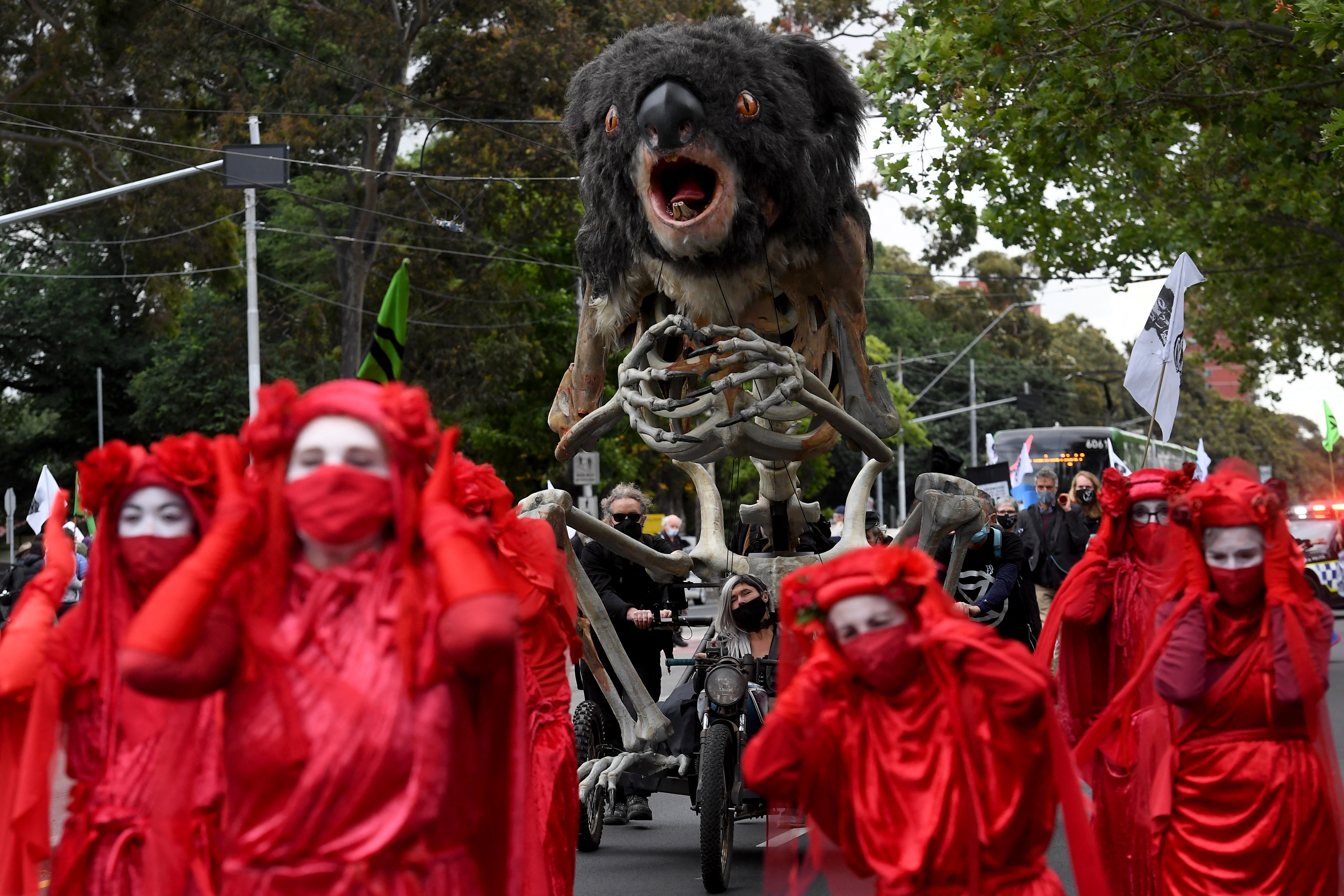 Activists in red cloaks and white masks carry a giant sculpture of a burning koala through Melbourne's streets during a climate protest