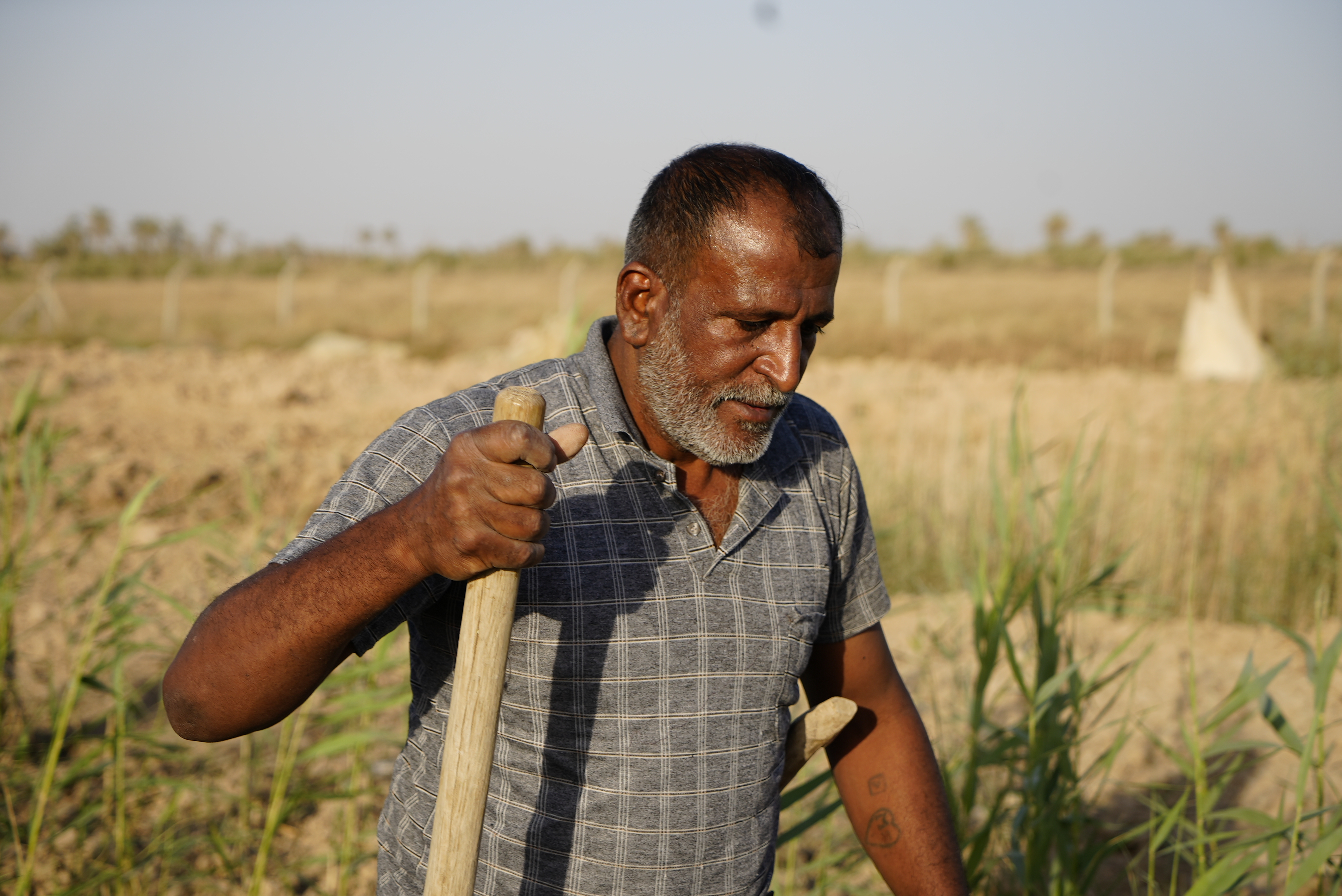 Mohammed Obaid while planting palm trees in hope to grow up.
