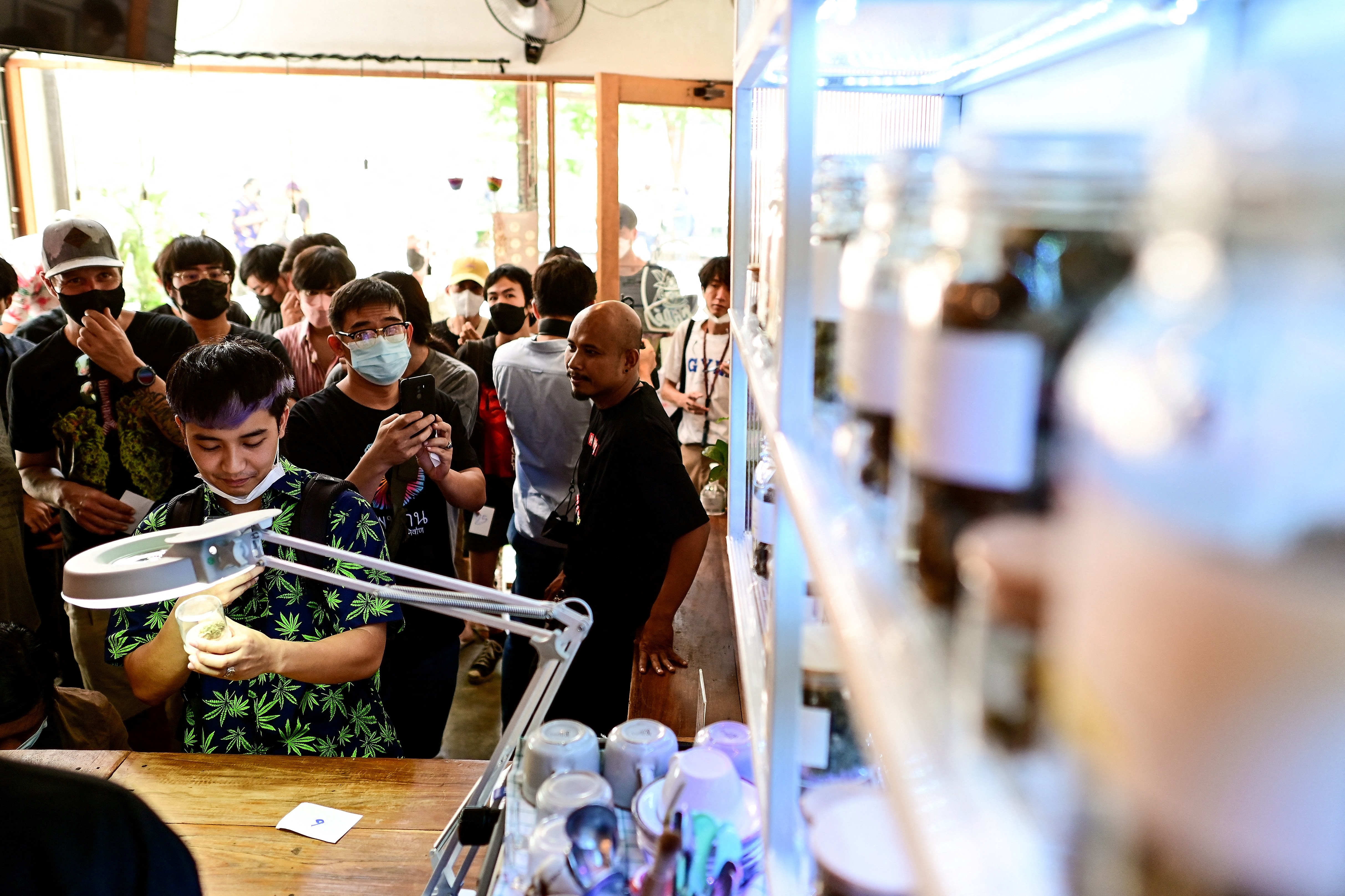 A man looks at a dried cannabis flower for sale at the Highlands cafe in Bangkok on June 9, 2022. (Photo by Manan VATSYAYANA / AFP)