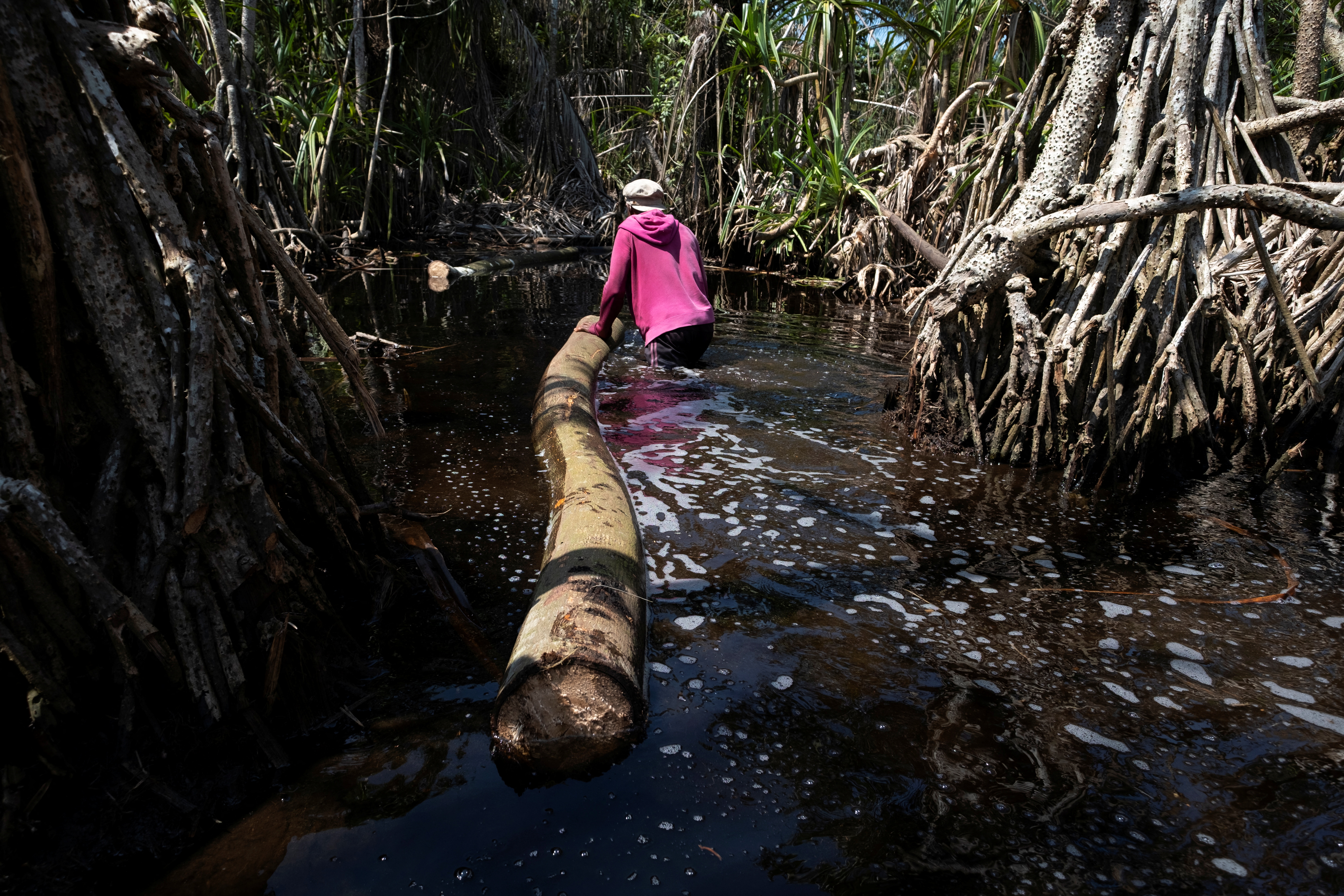 Logger, Egbontoluwa Marigi, 61, pulls a log through the flooded forest floor in Ipare, Ondo State