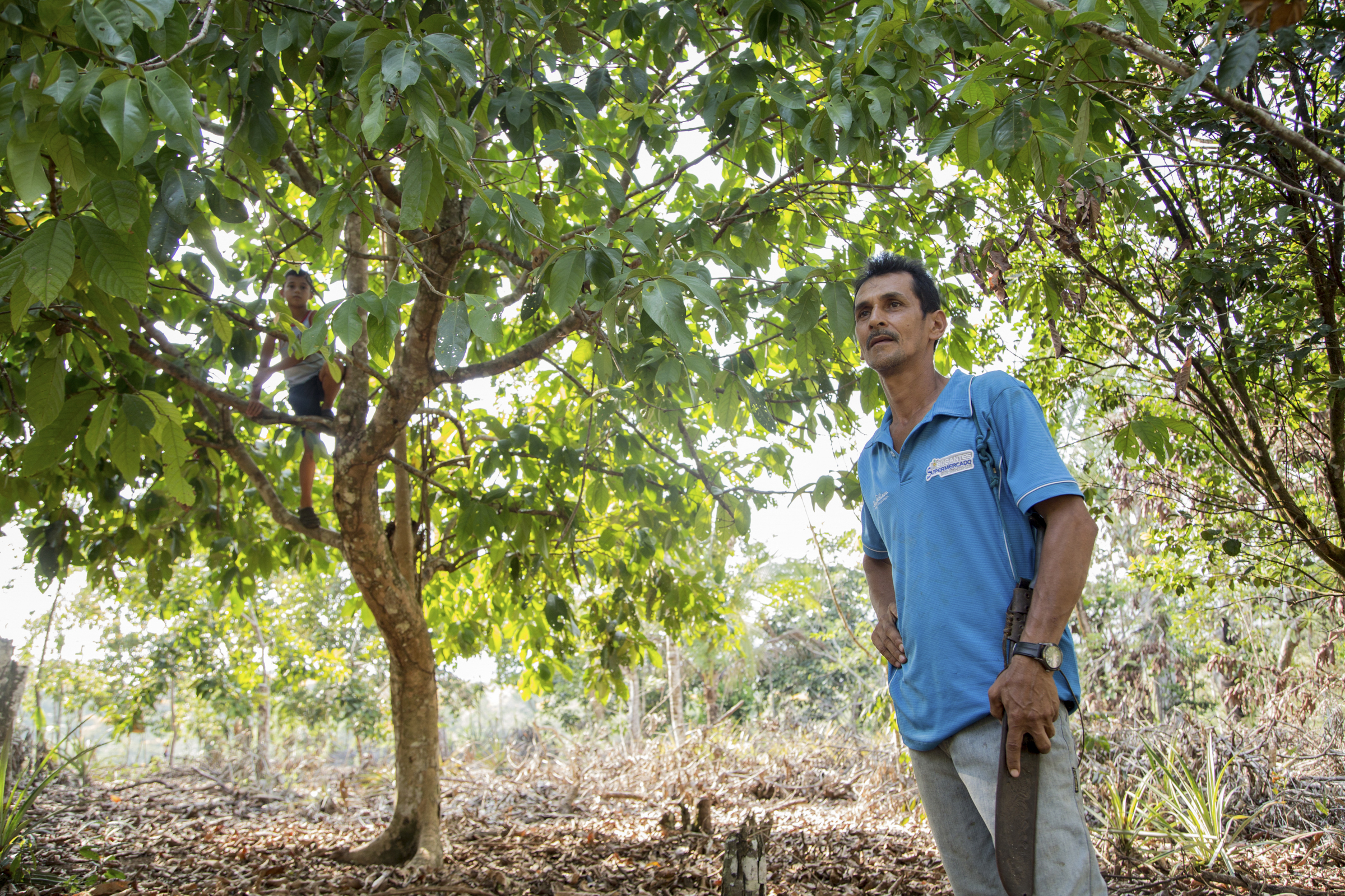 A photo of Donald Guadamos, 49, standing in the middle of a field of trees.
