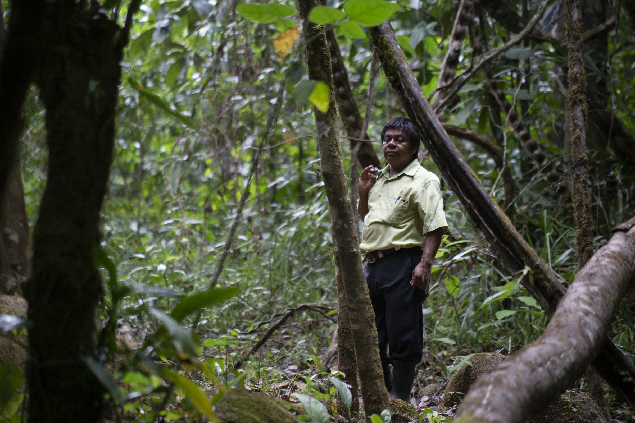 A photo of Felipe Figueroa standing in the middle of a very green forest.
