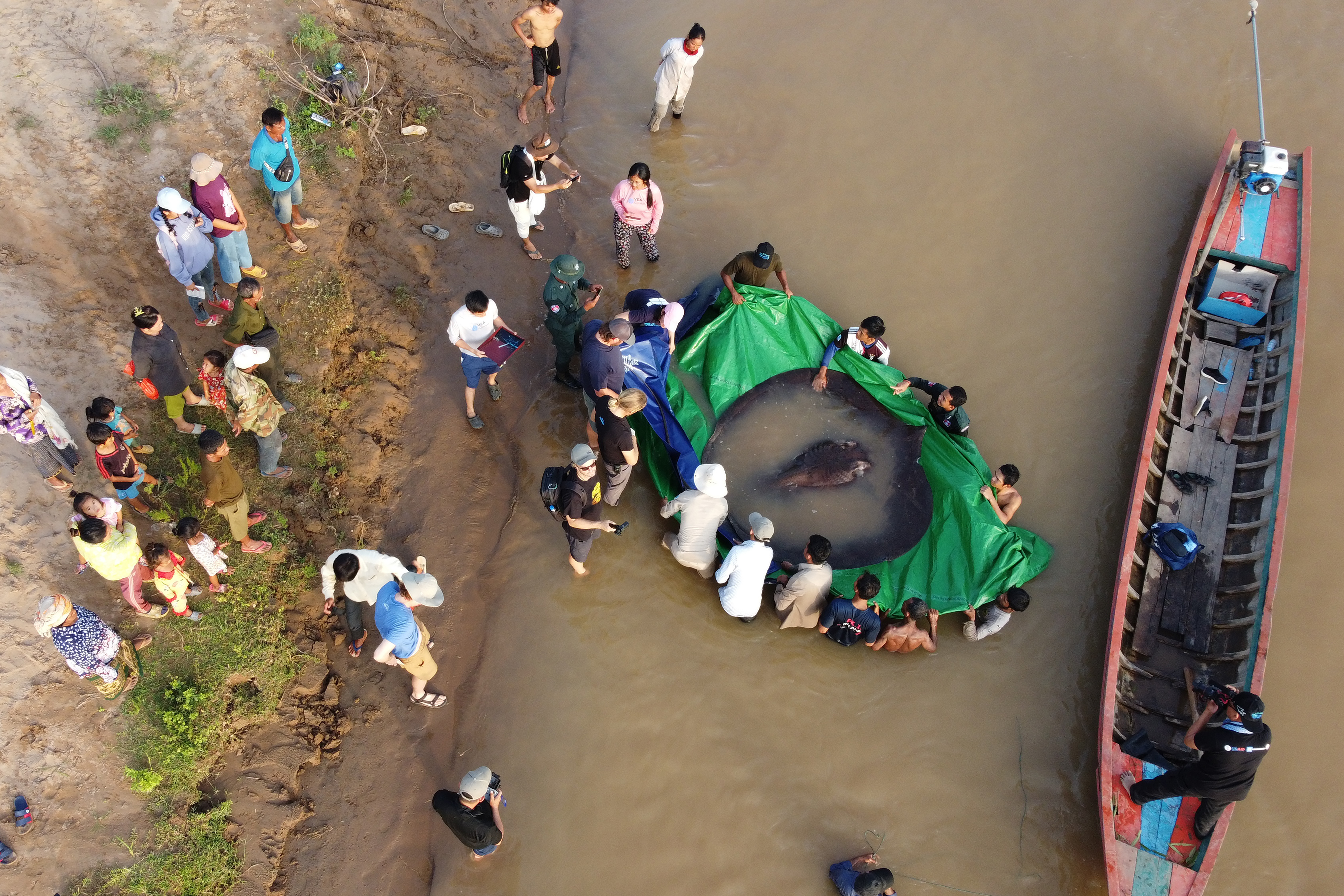 Village residents watch as a team of Cambodian and American scientists and researchers, along with Fisheries Administration officials prepare to release a giant freshwater stingray back into the Mekong River in the northeastern province of Stung Treng, Cambodia