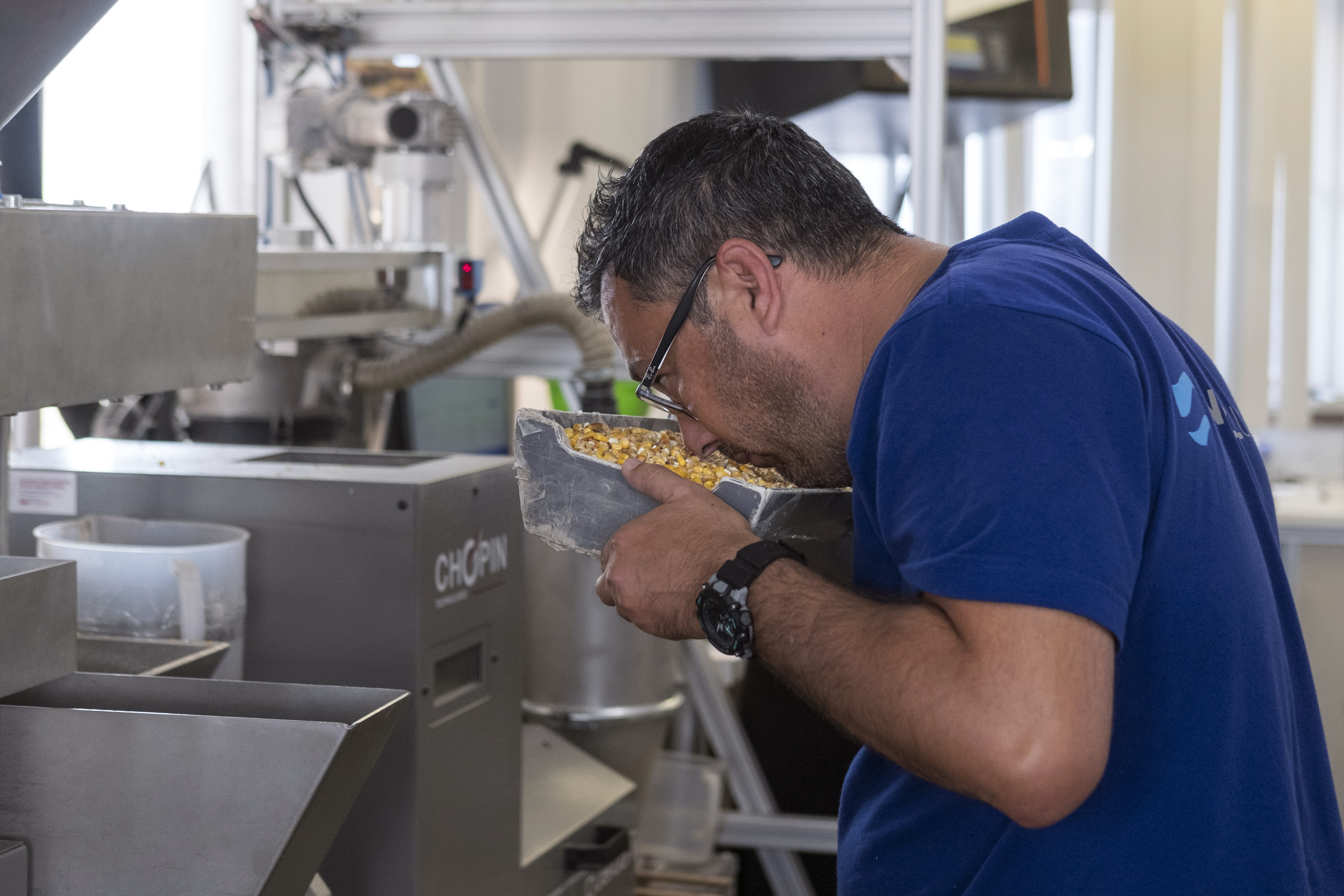 The quality of the cereals is assessed by a quality control officer at one of the operators.