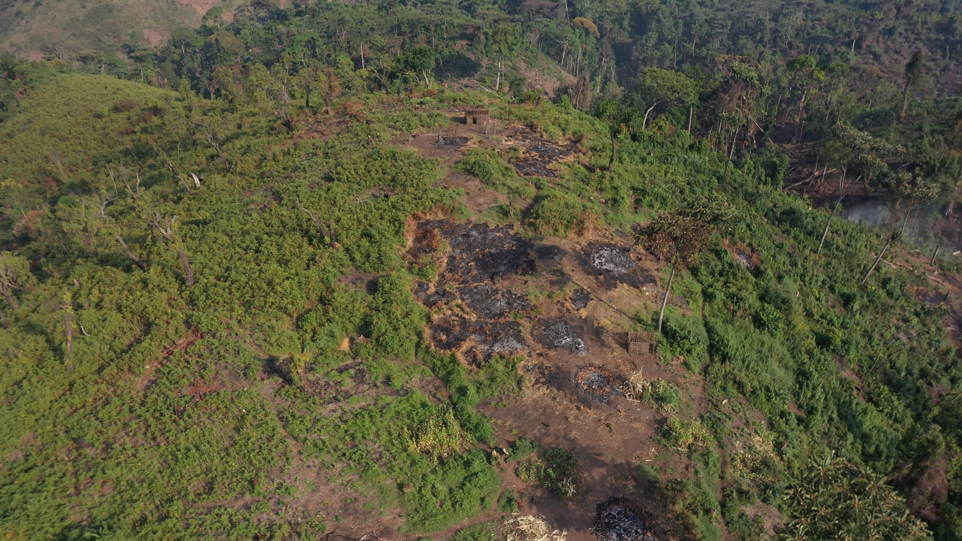 Aerial photograph showing some of the desctruction