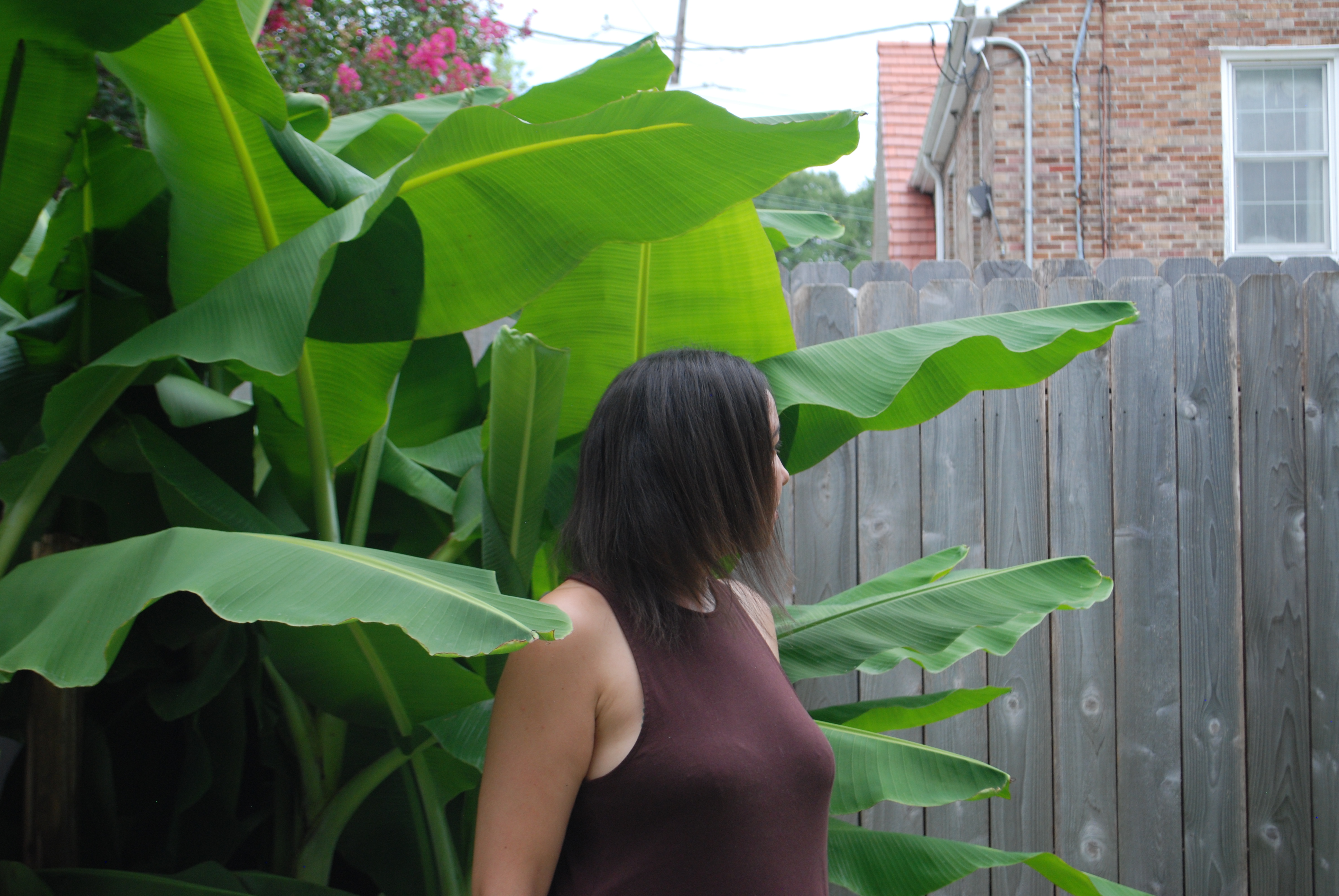 A photo of a woman standing next to a large plant outdoors in front of a fence to a house.