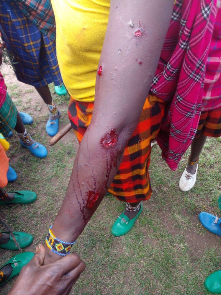 [Handout/Forest Peoples Programme via Al Jazeera]