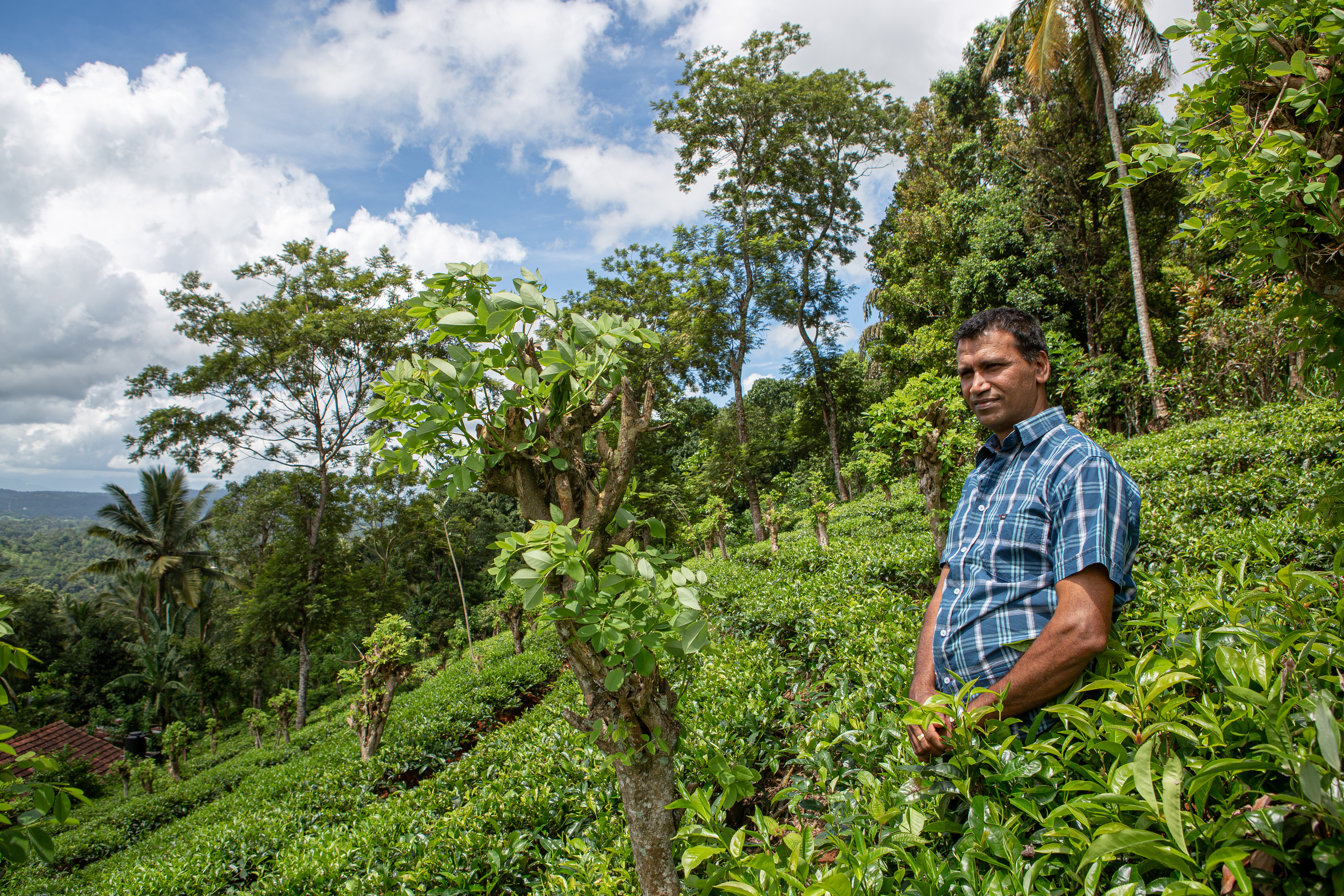 Rohan Thilak Gurusinghe