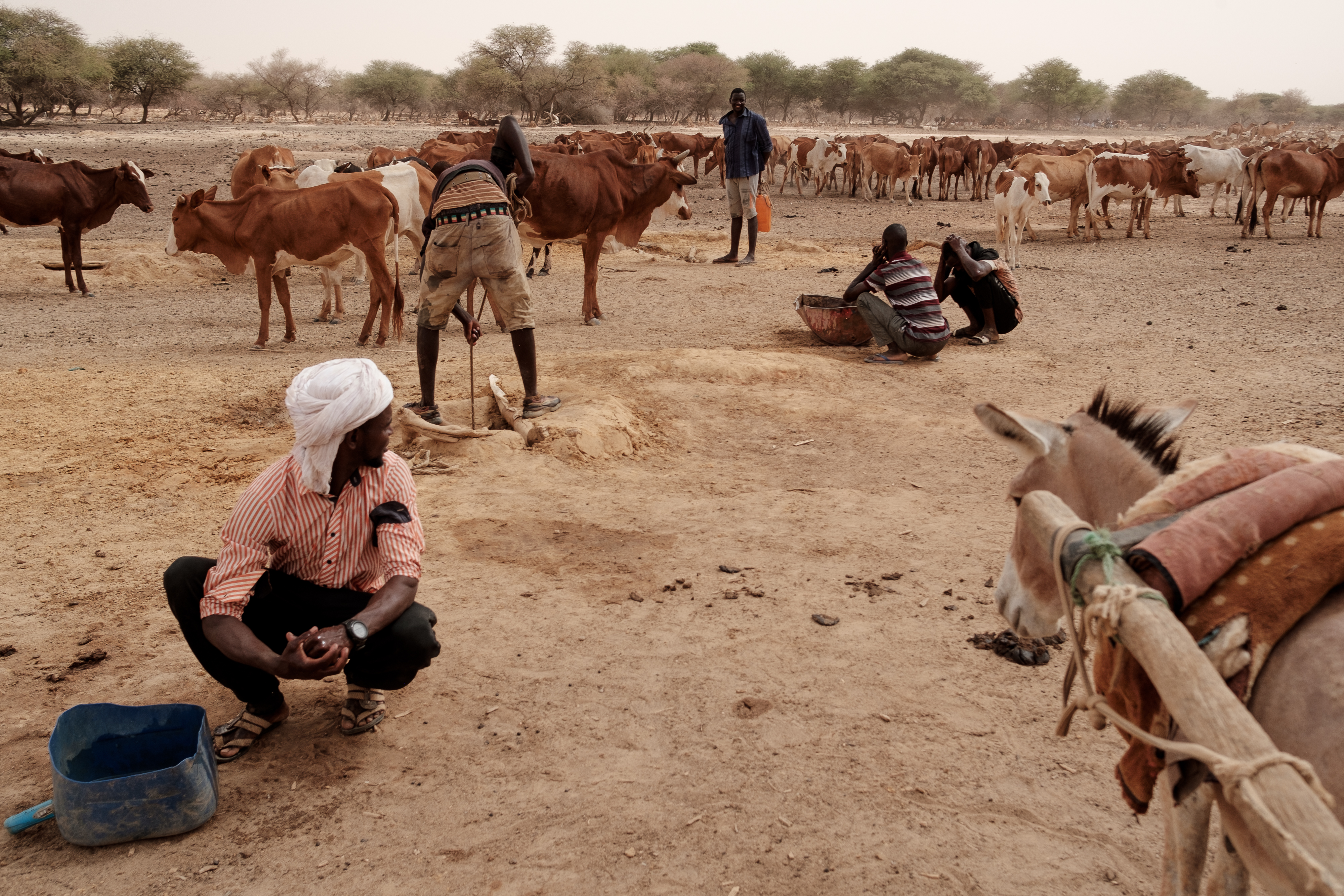 Herders wash and drink with water from a hand dug well