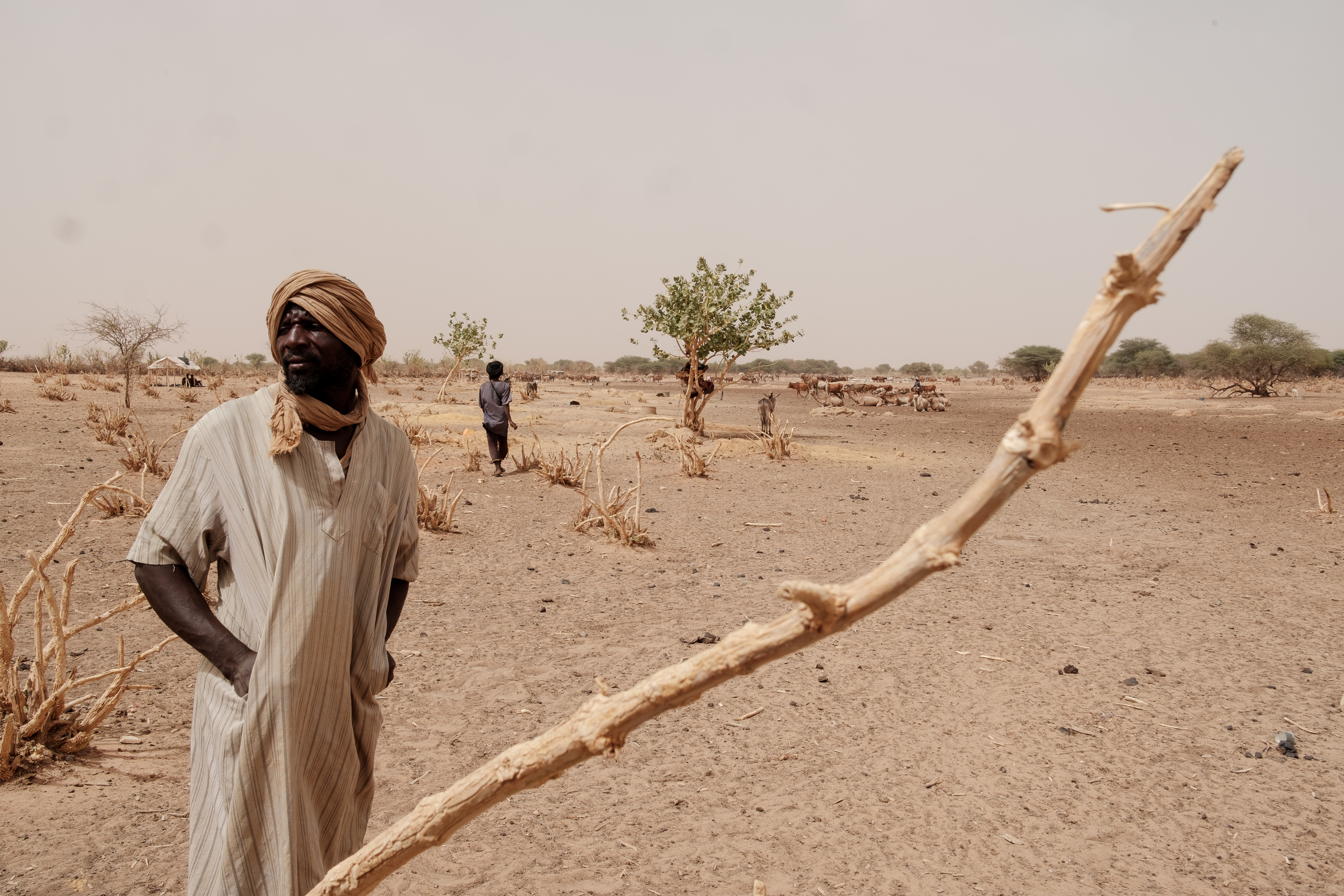 A herder from Lemghaysse village
