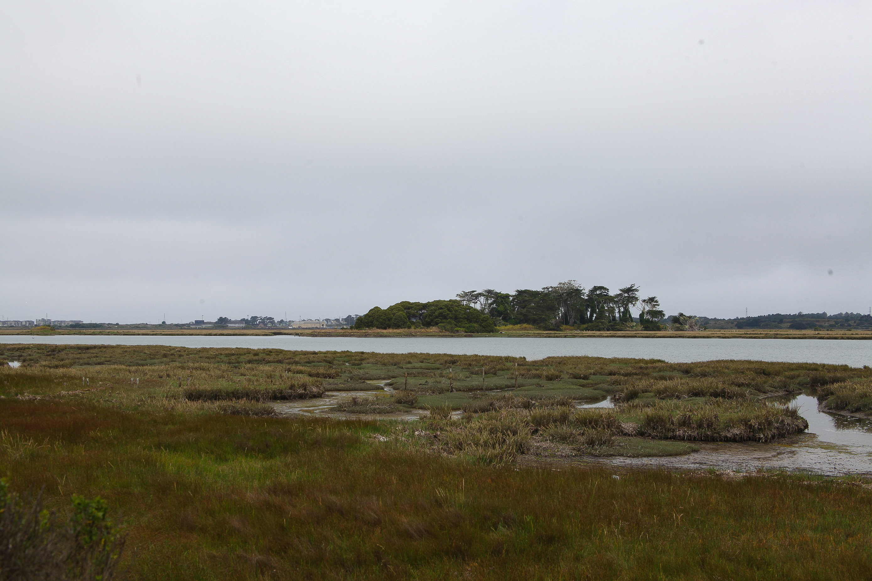 A photo of the view on Tuluwat, the view is of a grass field with water and trees in the distance.