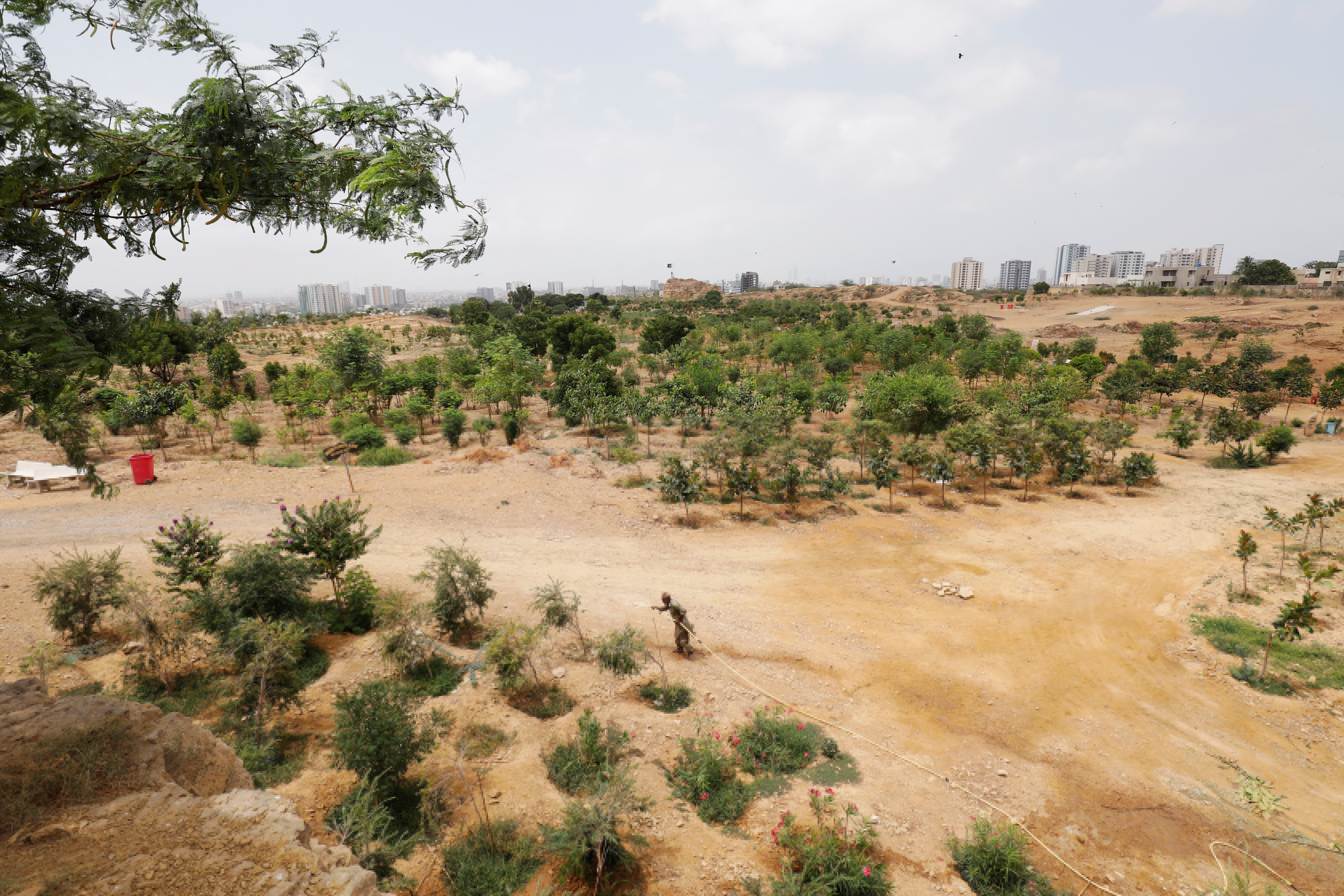 A worker waters a portion of urban forest at Kidney Hill park in Karachi