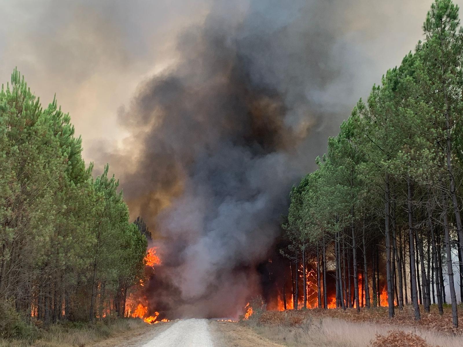 the fire brigade of the Gironde region SDIS 33, (Departmental fire and rescue service 33) shows flames consume trees at a forest fire in Saint Magne, south of Bordeaux, south western France