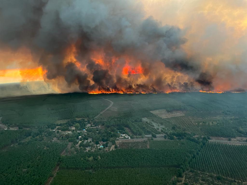 flames consume trees at a forest fire in Saint Magne, France