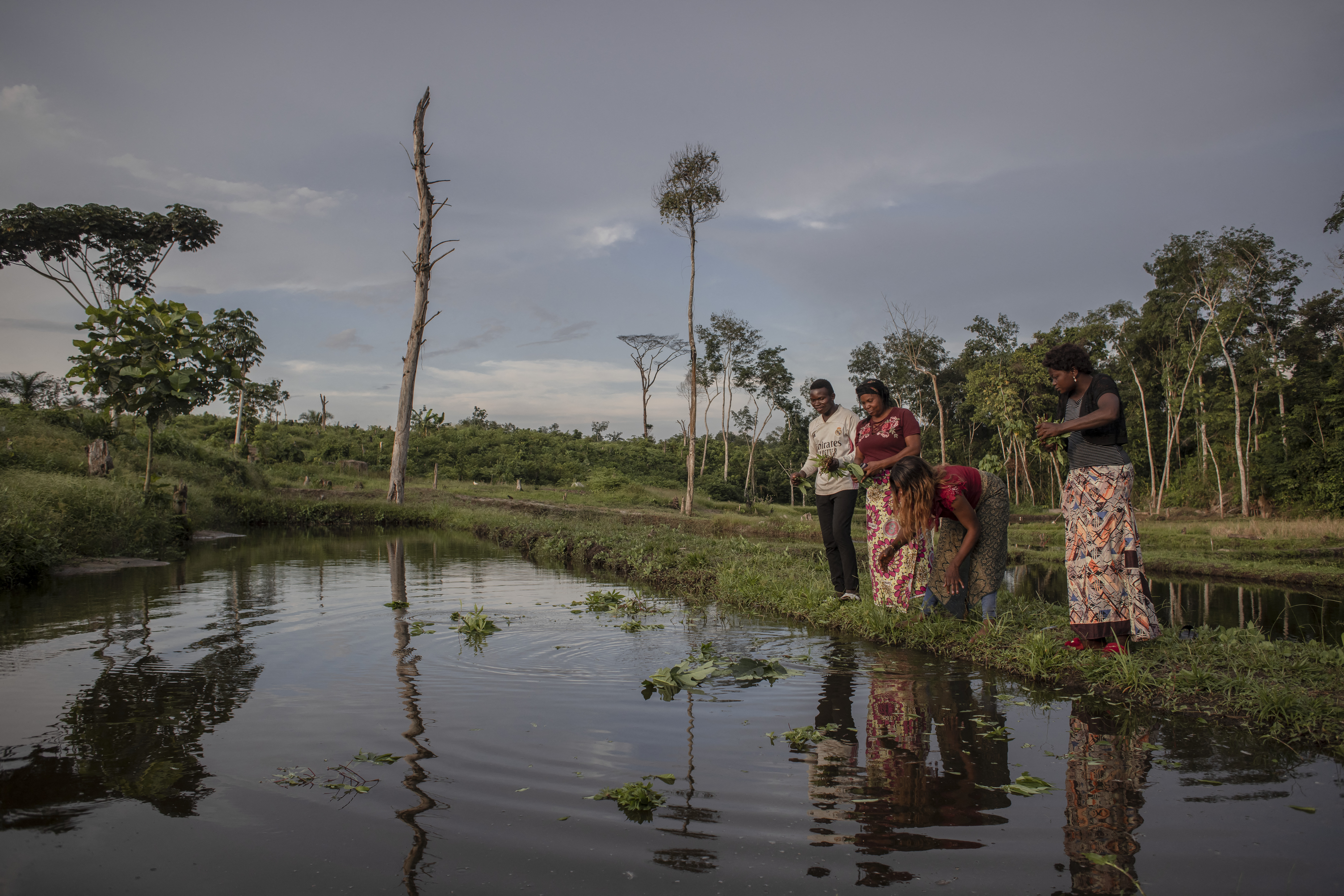 DRCONGO-ENVIRONMENT-CLIMATE-FORESTS