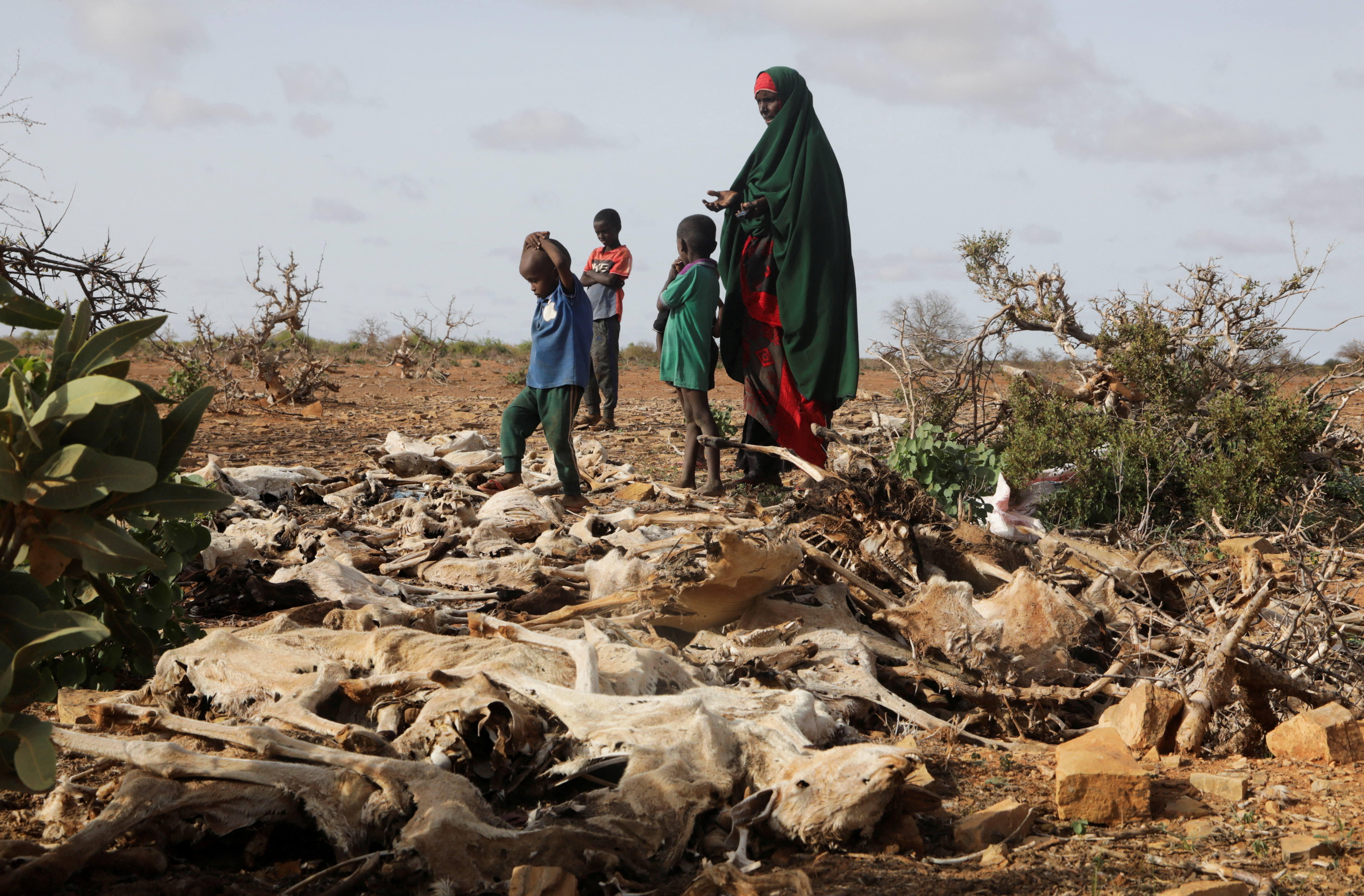 Somalia drought
