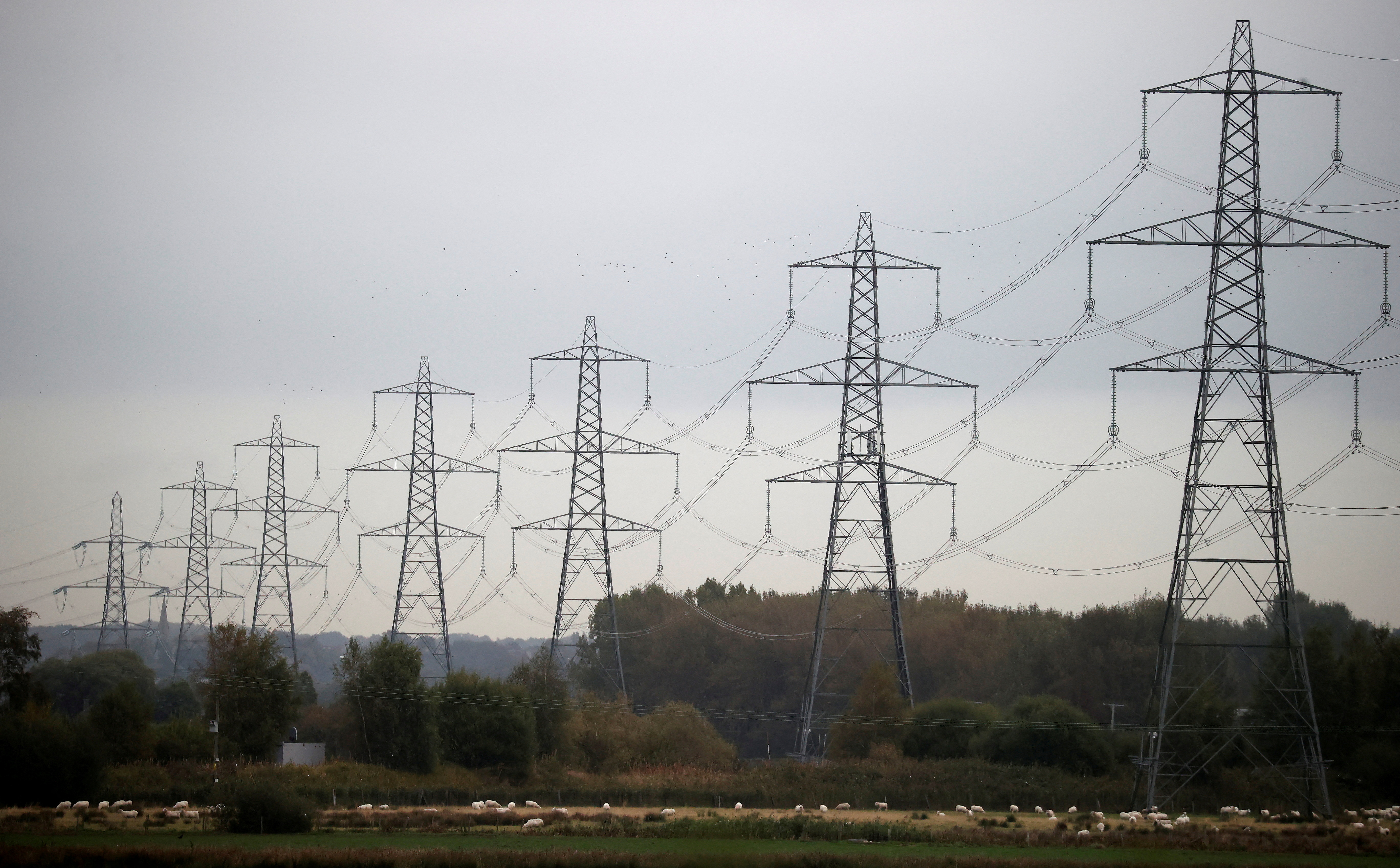 Sheep graze beneath a row of electricity pylons near Ellesmere Port, UK, October 11, 2021