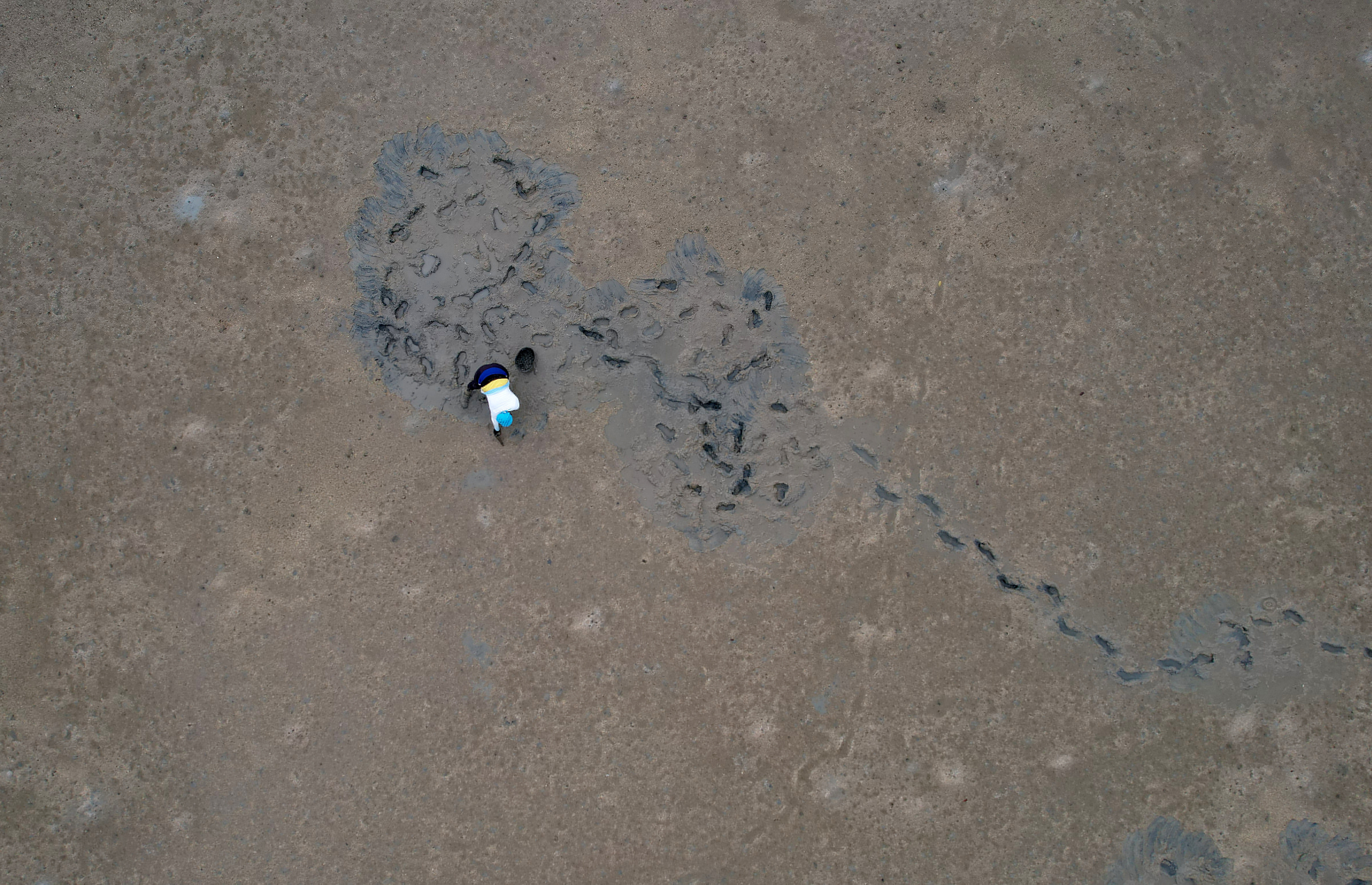 BRAZIL-ELECTION/RACE