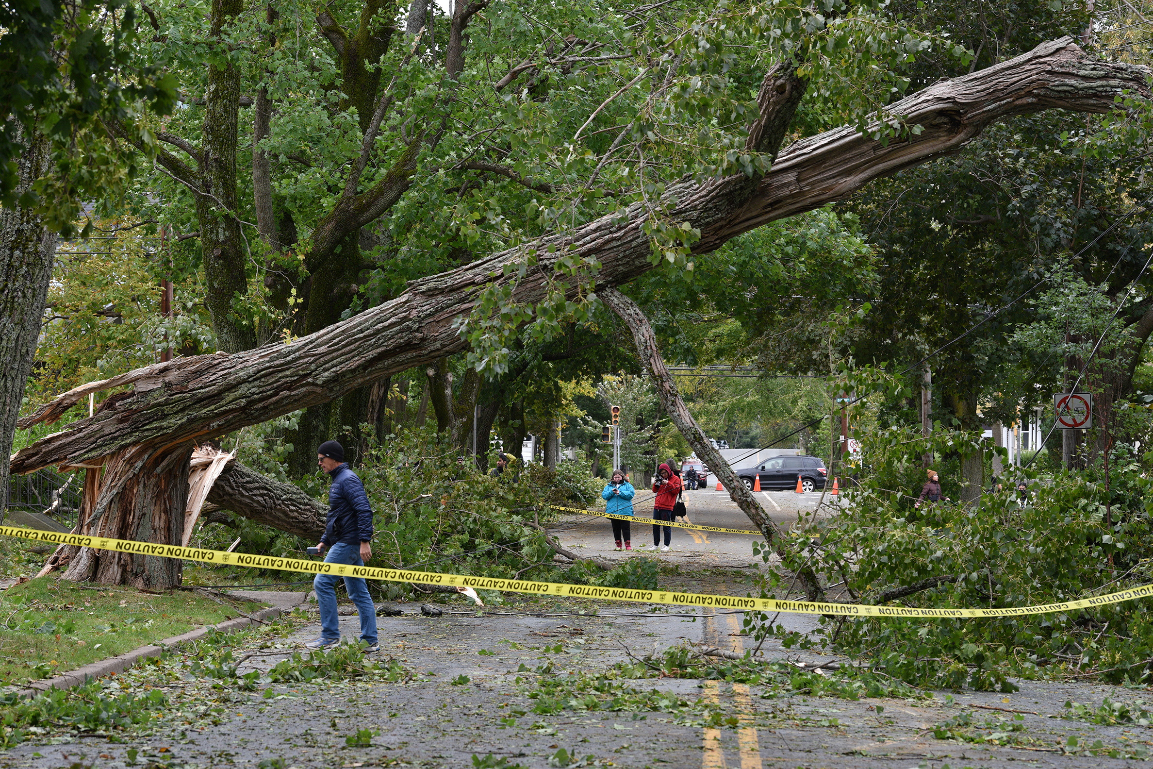 A downed tree lays accross Oxford Street following the passing of Hurricane Fiona.