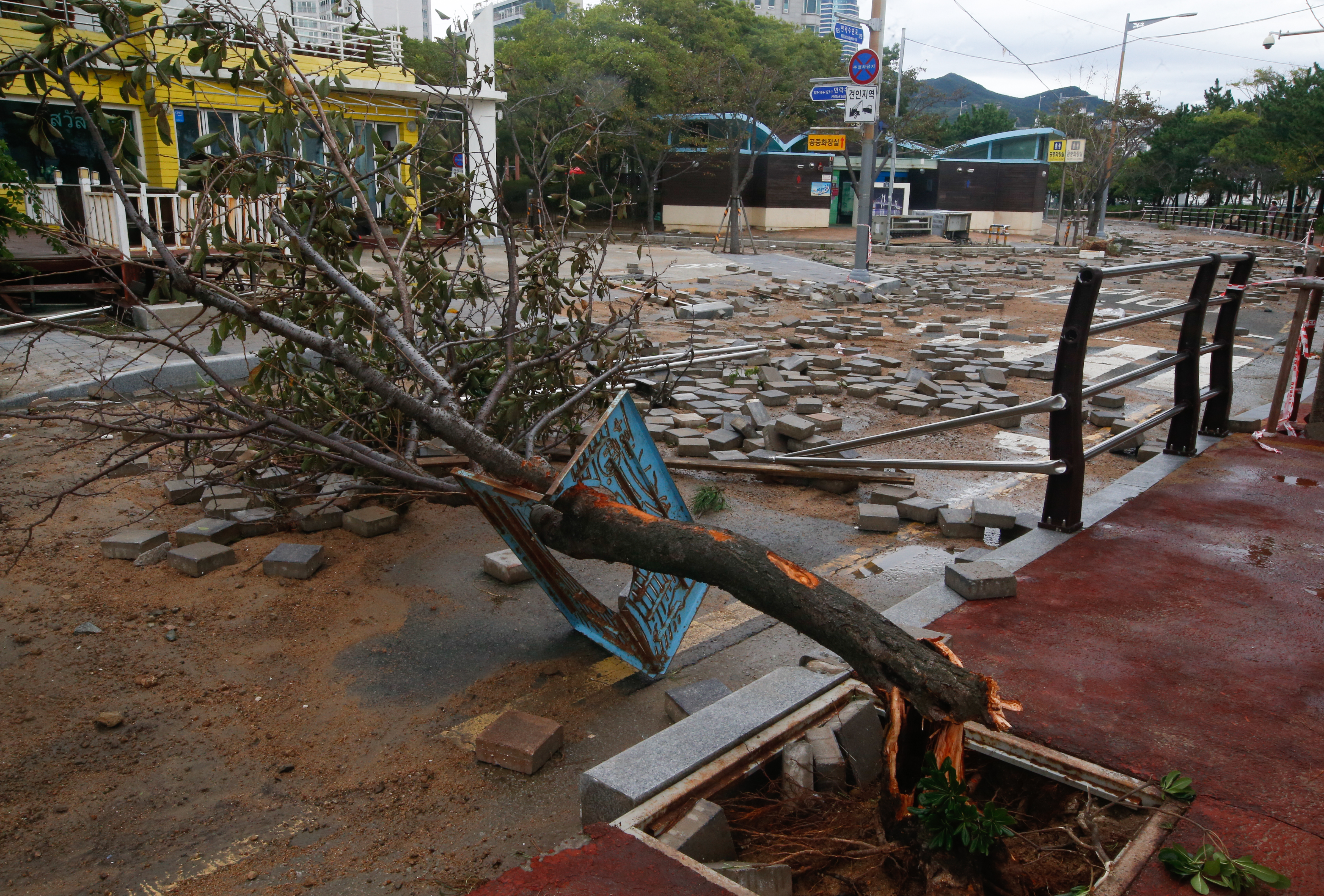 Scattered bricks and an upturned tree lay on a walkway