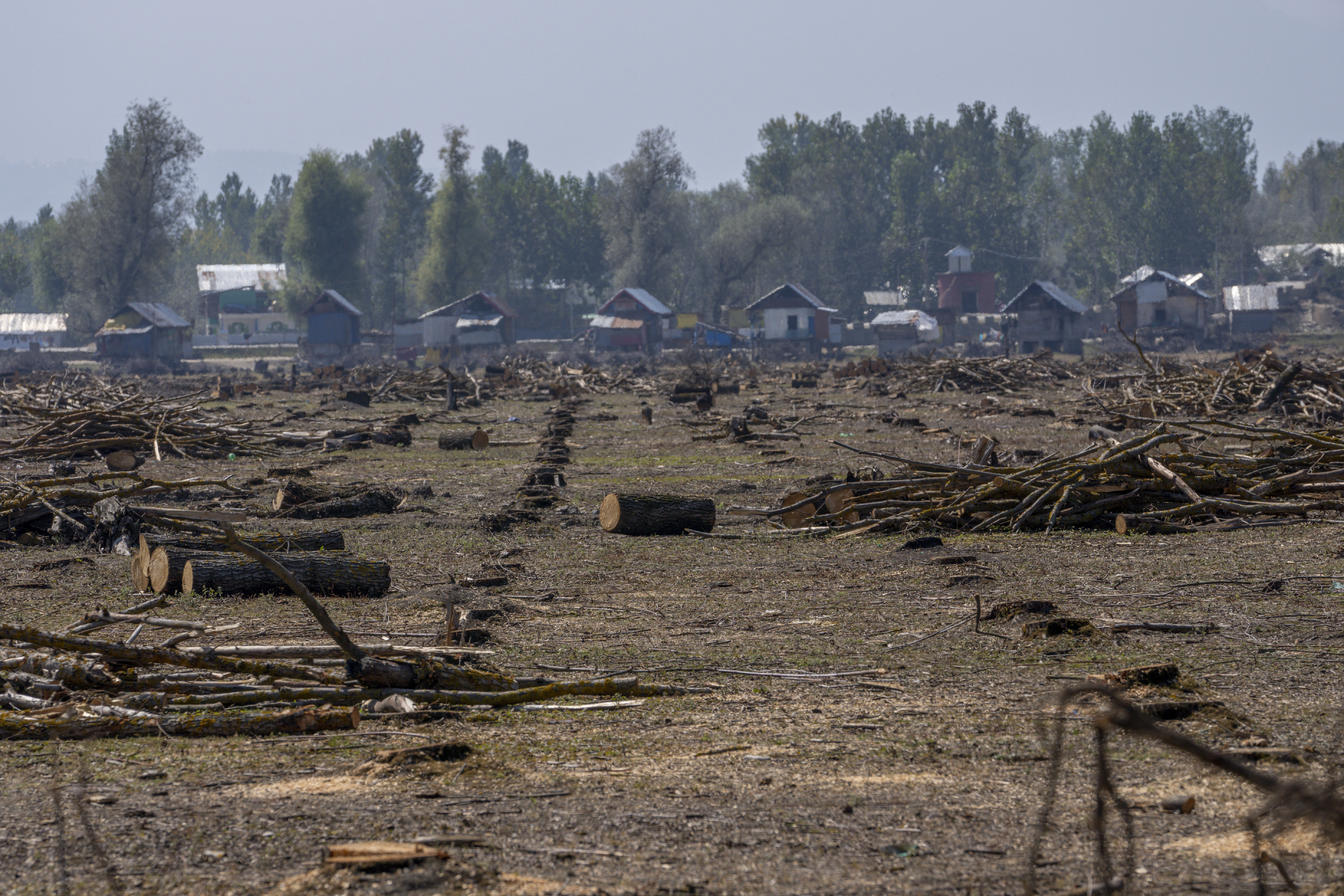 Kashmir Cricket Bats