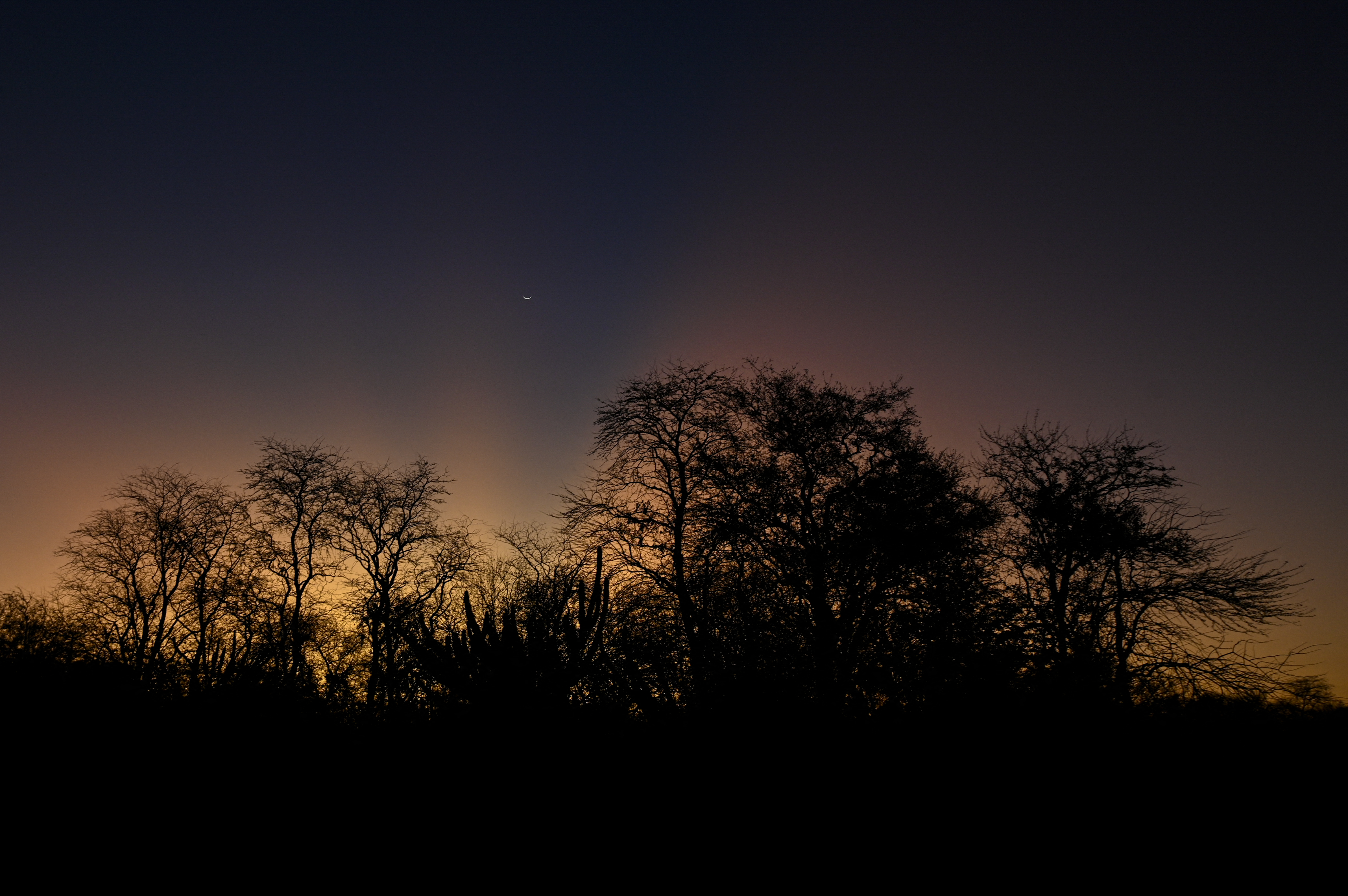 View of sunset around El Impenetrable National Park, Chaco province, Argentina