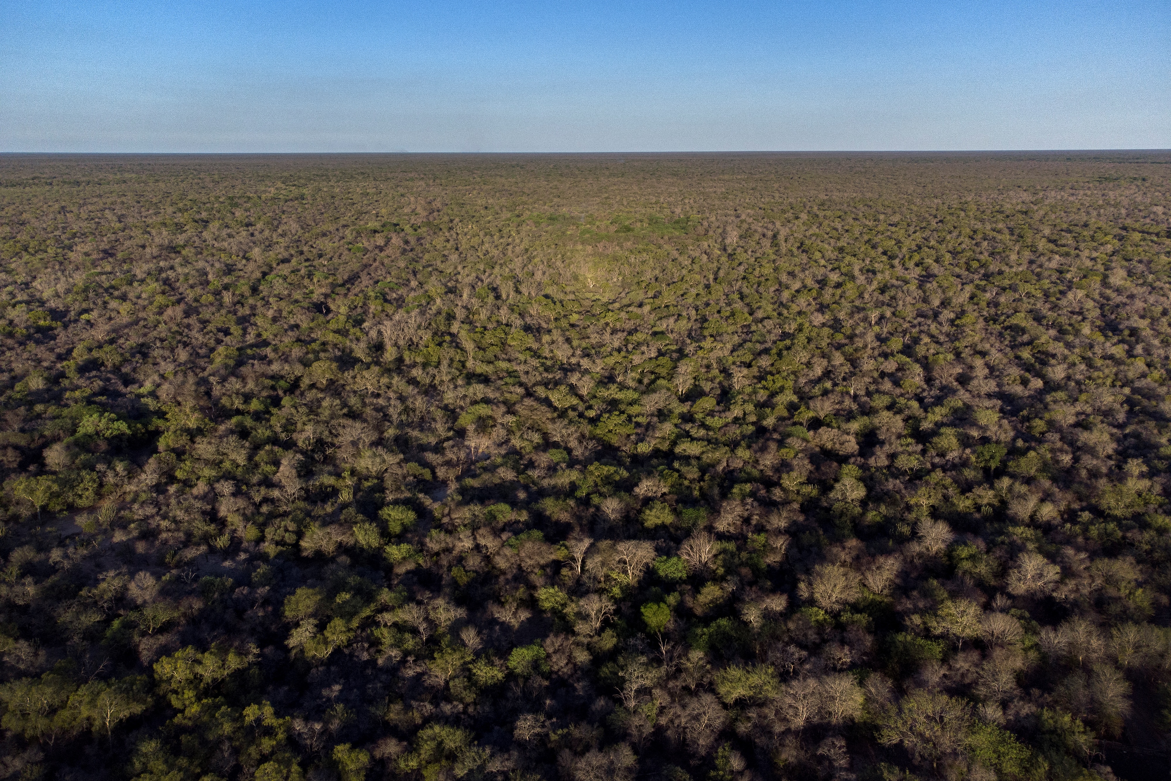 Aerial view of El Impenetrable National Park in Paraje La Armonia, Chaco province, Argentina