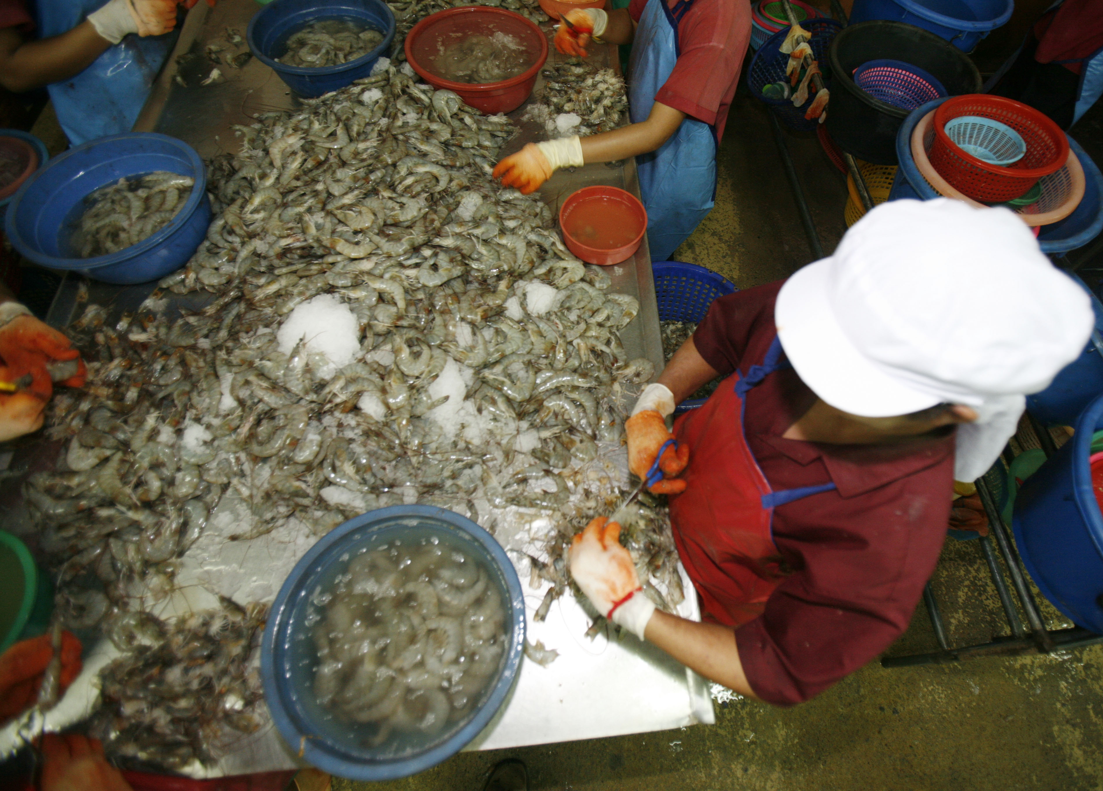 Thailand's seafood industry