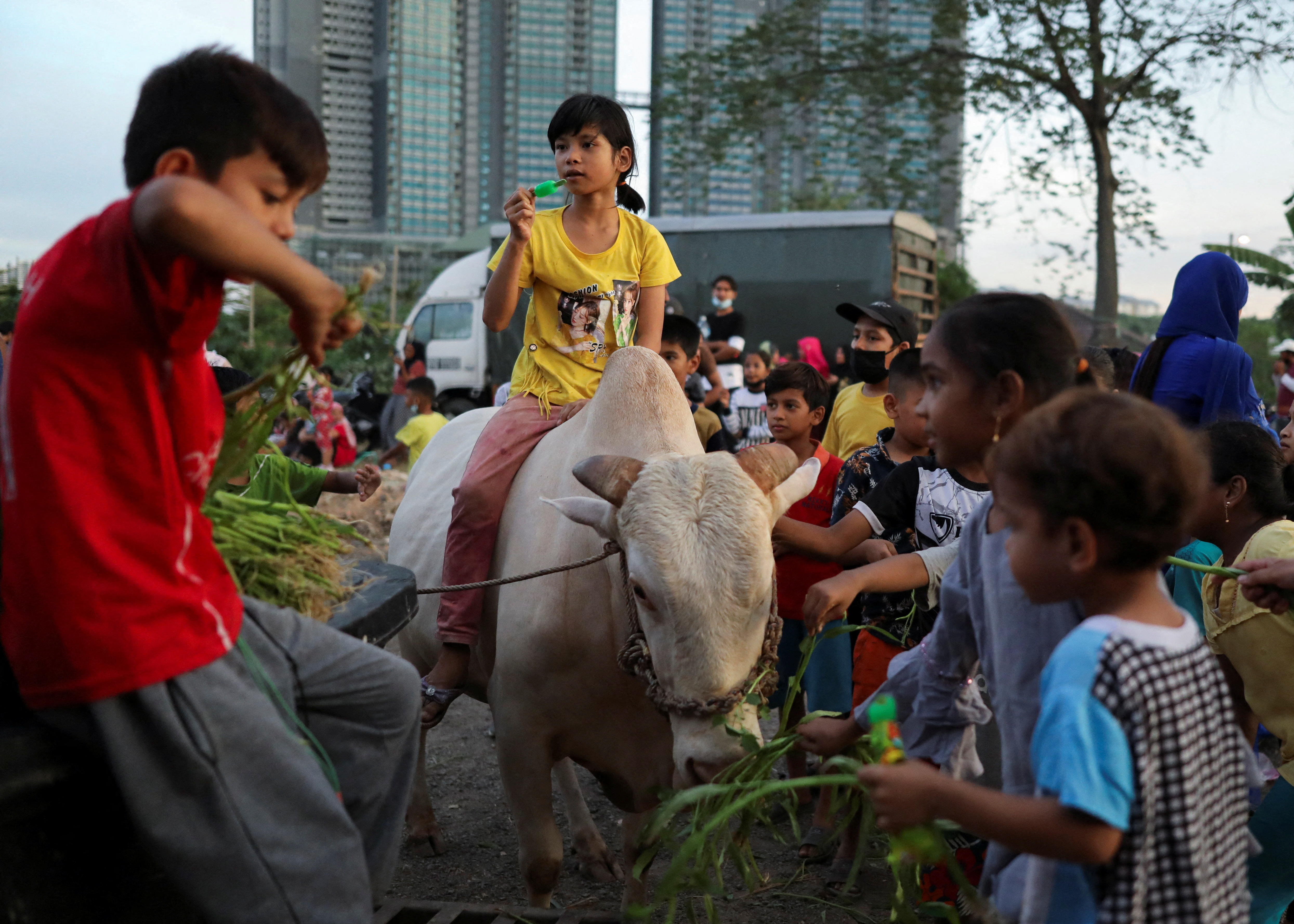 A smiling child in a yellow shirt sits on top of a white cow as other Rohingya children looking happy gather around to feed it.