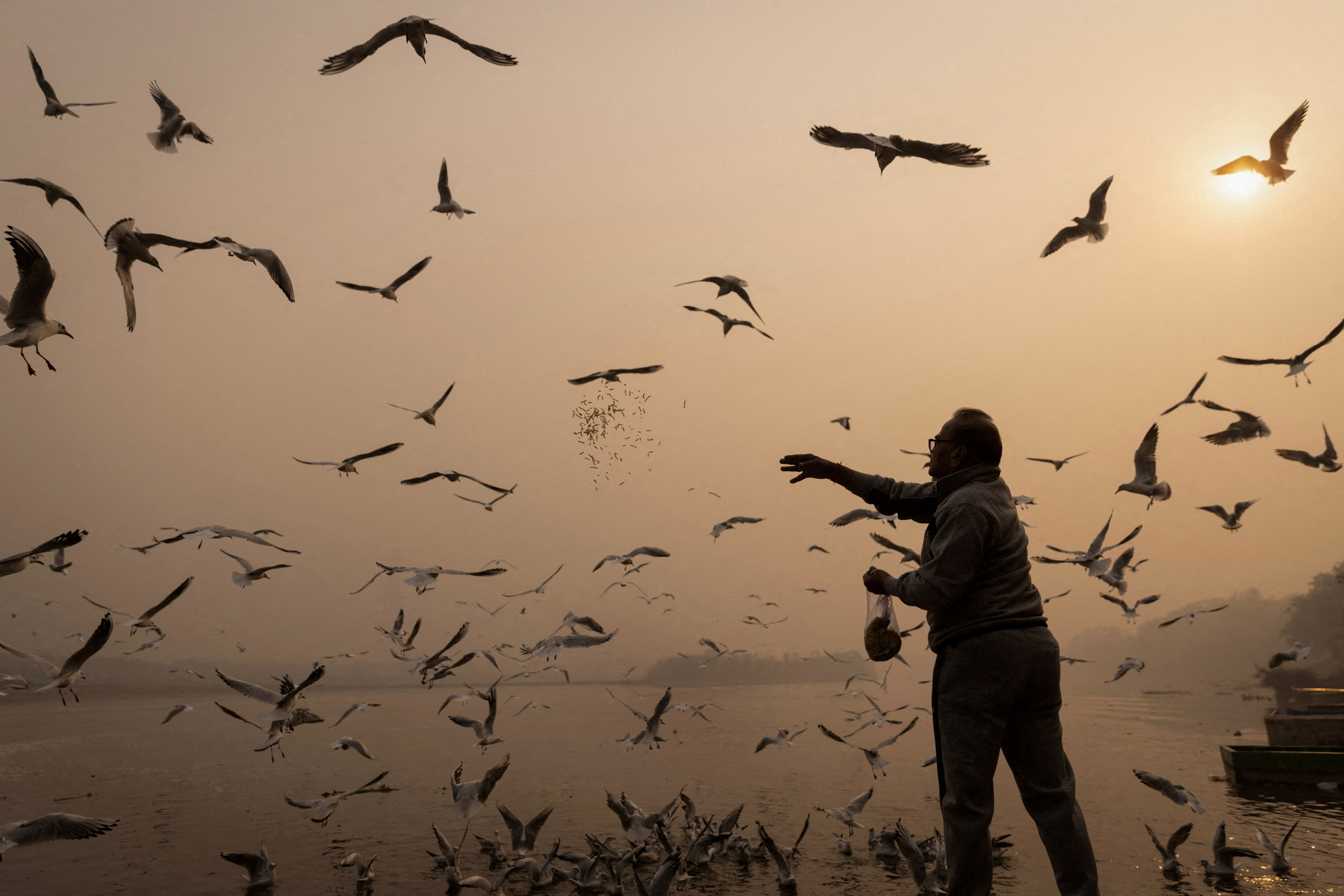 A man feeds birds amidst heavy smog on the banks of Yamuna river in the old quarters of Delhi.