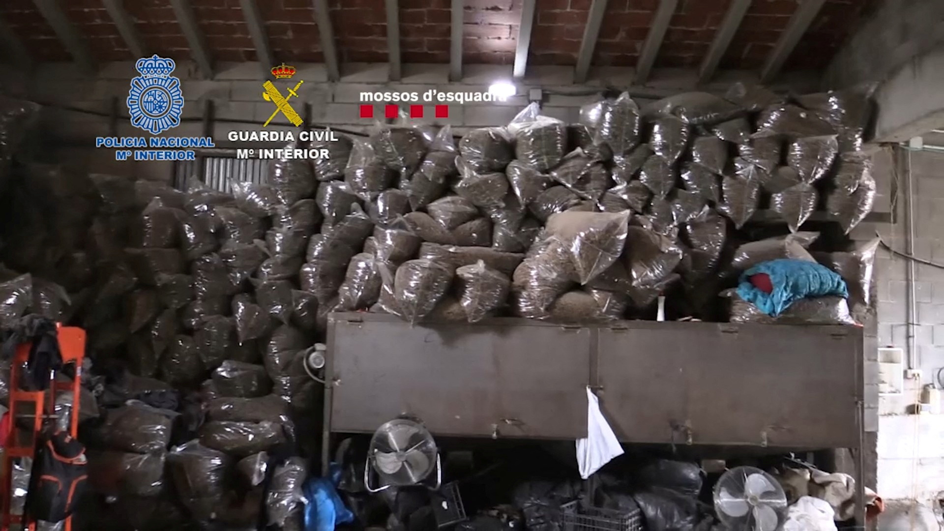 Plastic bags filled with marijuana are seen piled up inside a building as Spanish police seized the largest amount of marijuana discovered so far in the country