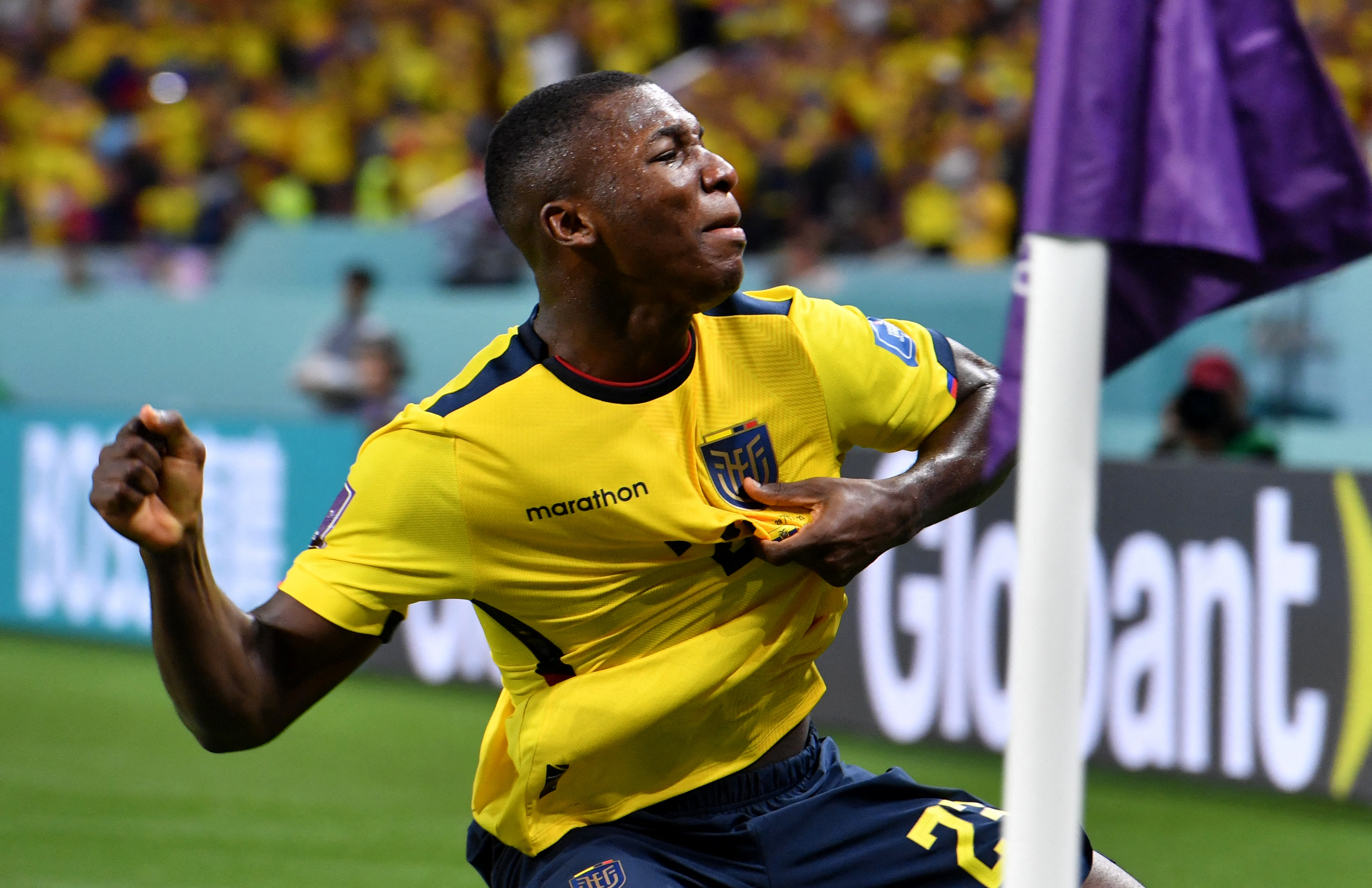 Ecuador's Moises Caicedo celebrates scoring their first goa
