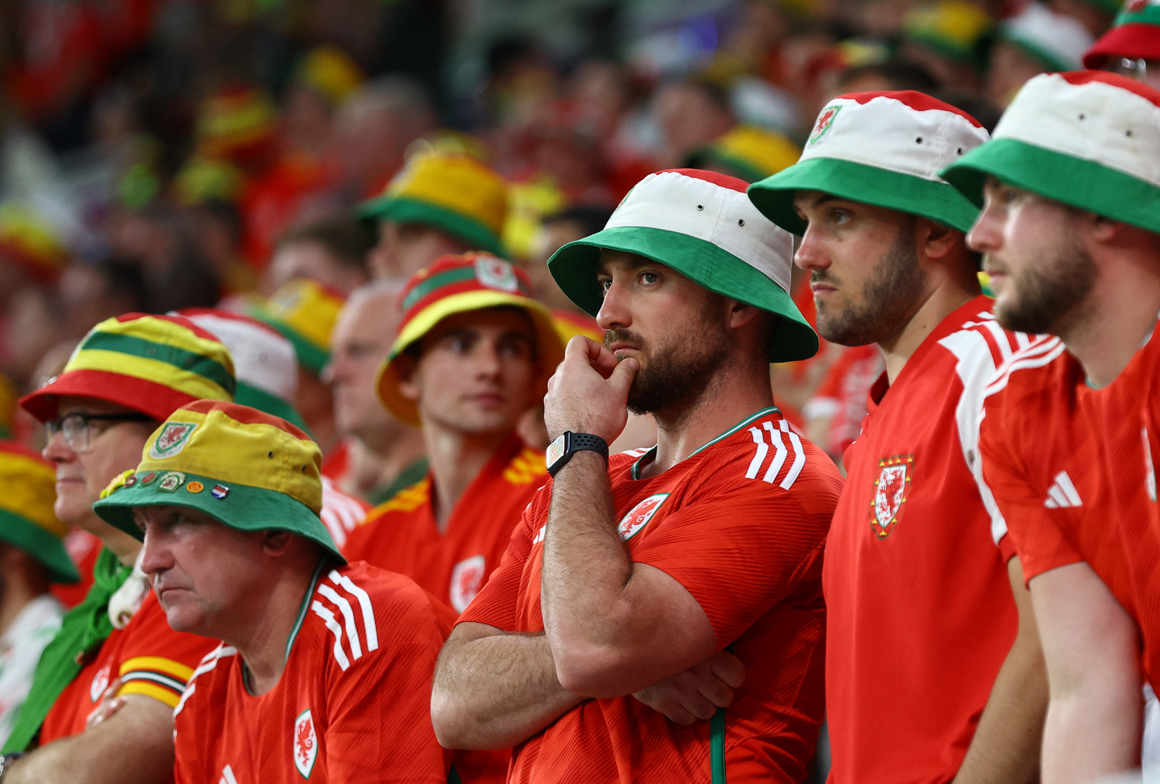 Wales fans in the stands