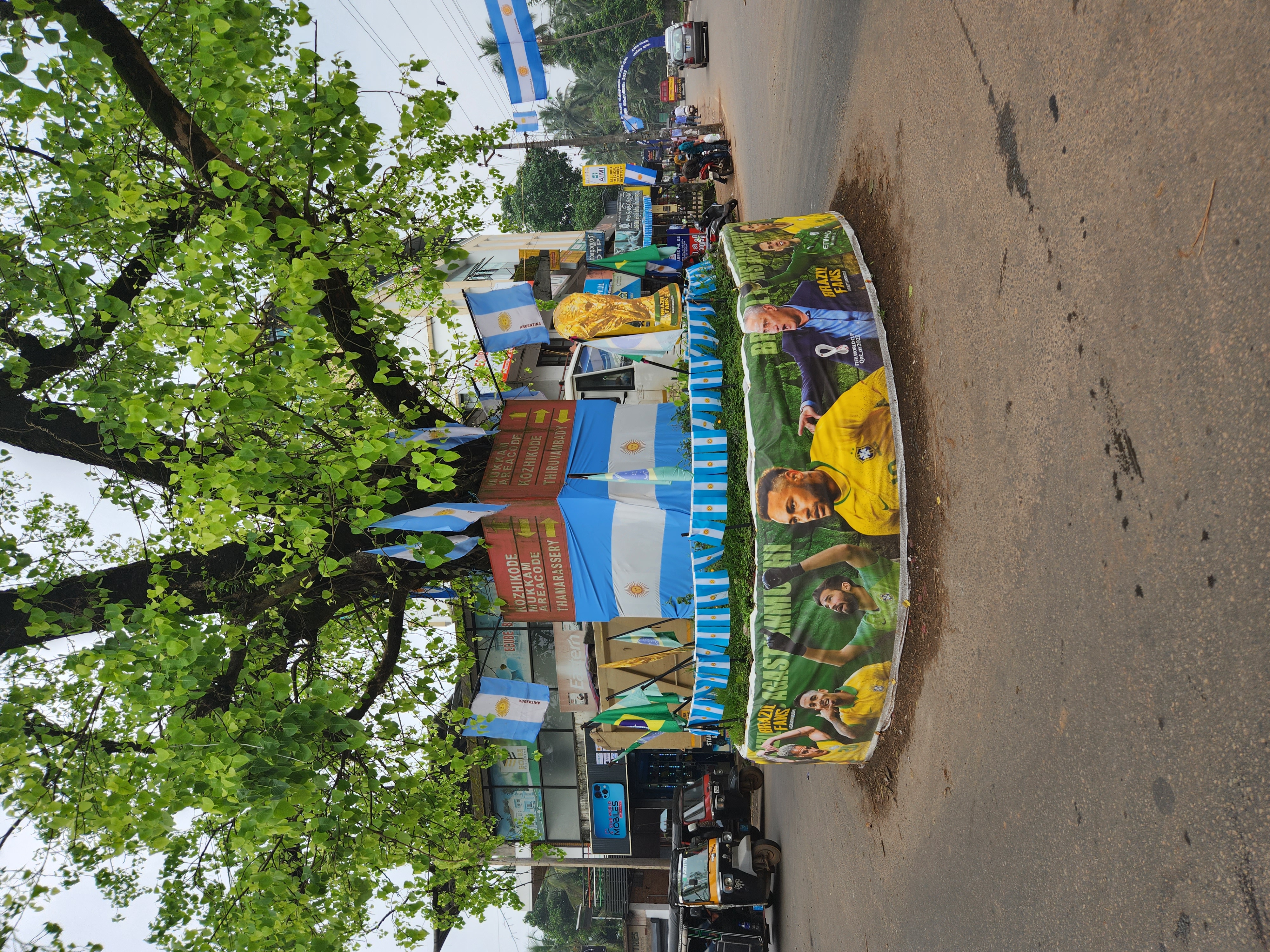 India celebrates World Cup