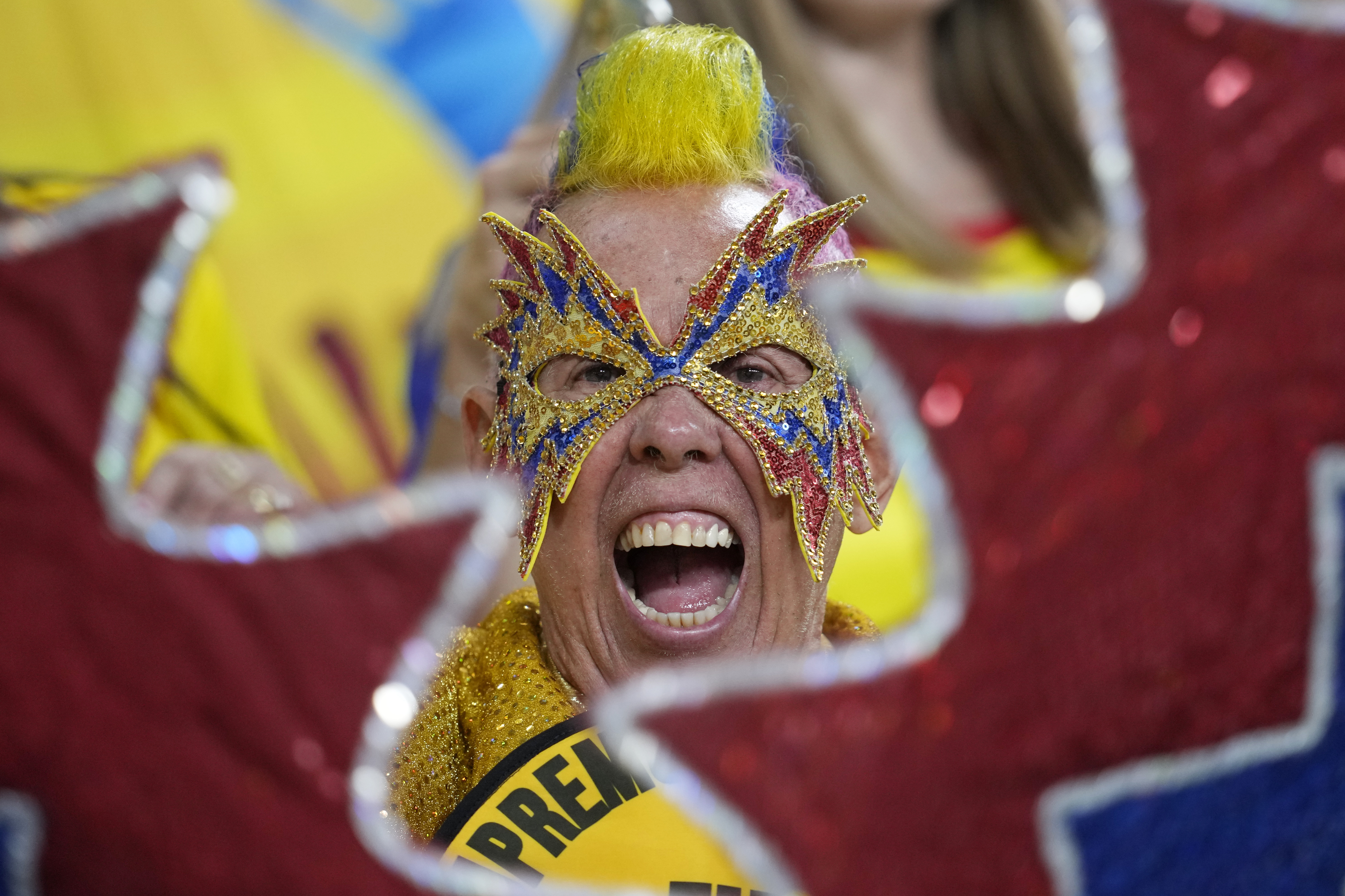 An Ecuador's fan cheers before the start of the World Cup